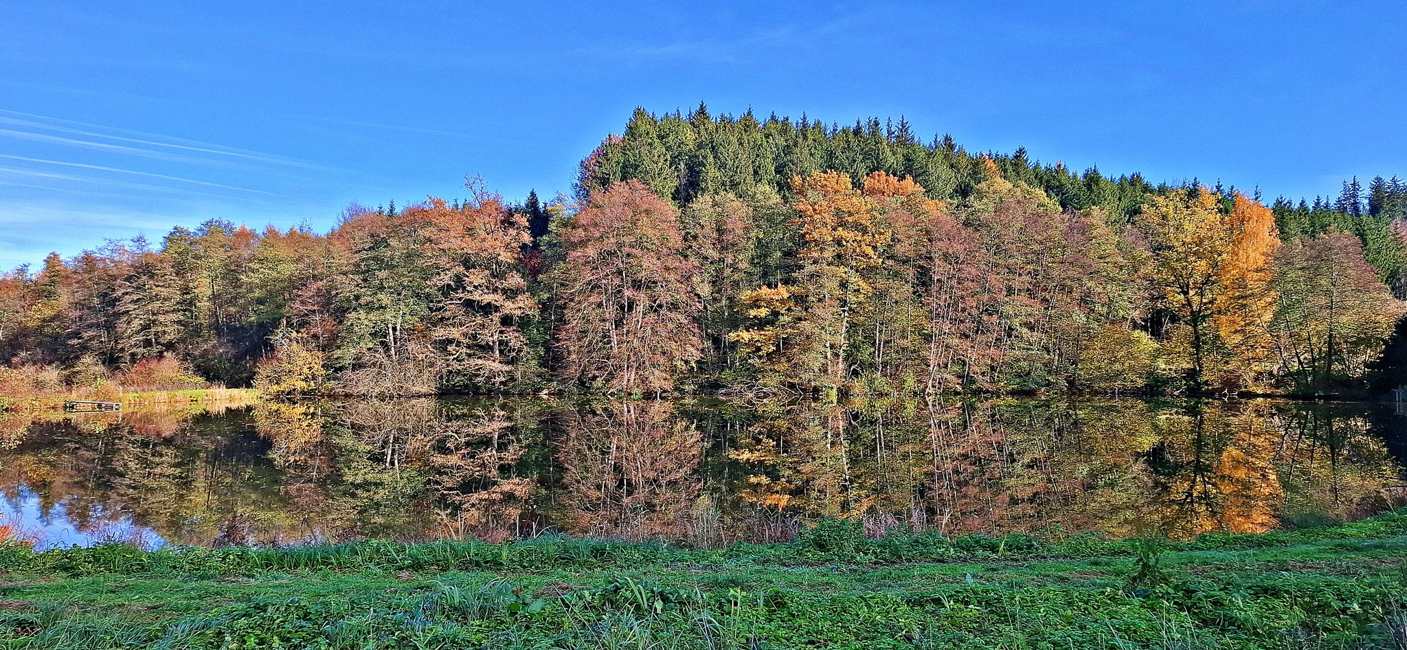 Ziegelweiher