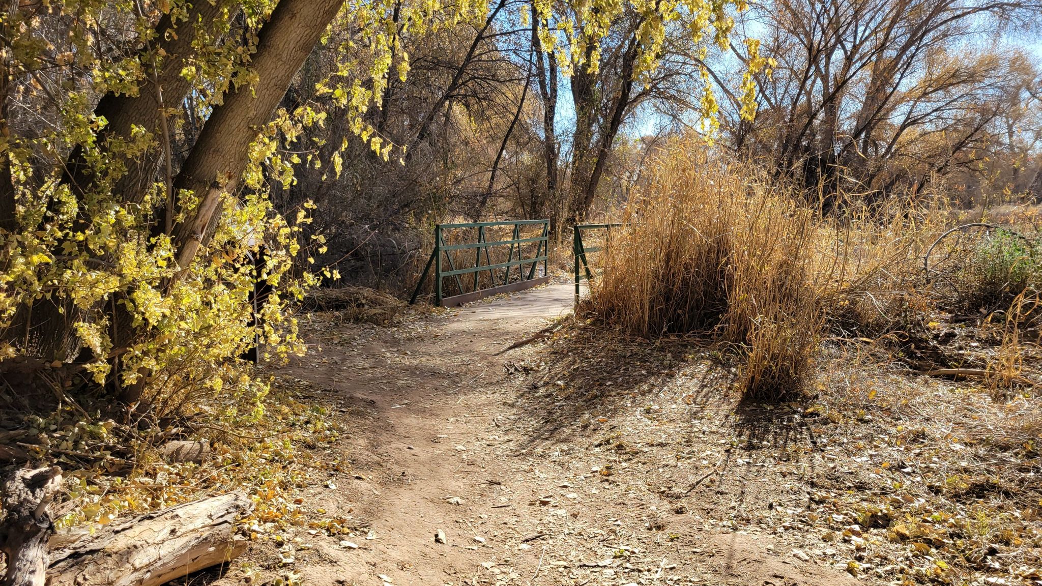 A sunny dirt path leads to a green metal gate in a dry landscape. - Jail Trail