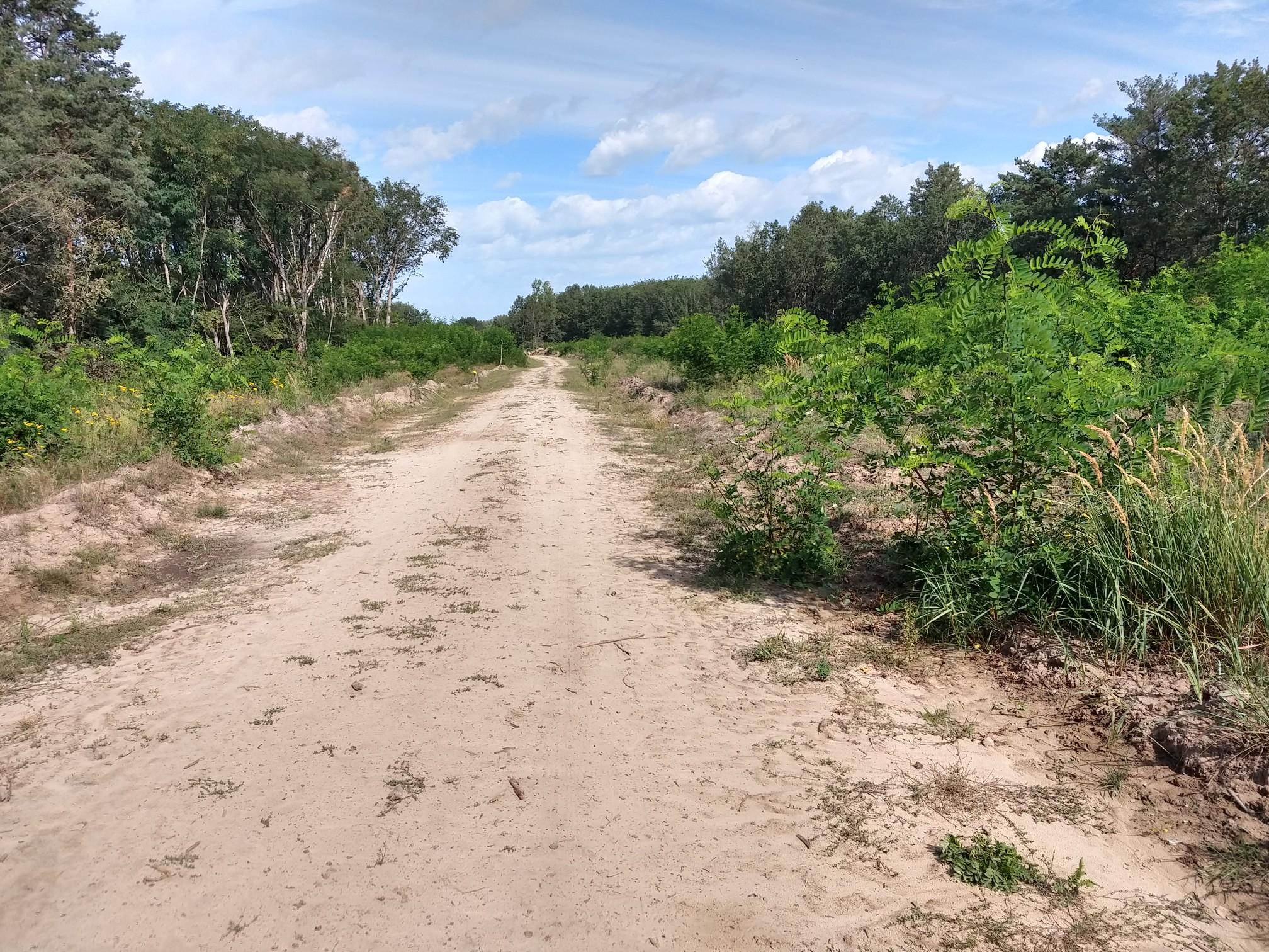 O que descobrir em torno de Döberitzer Heide