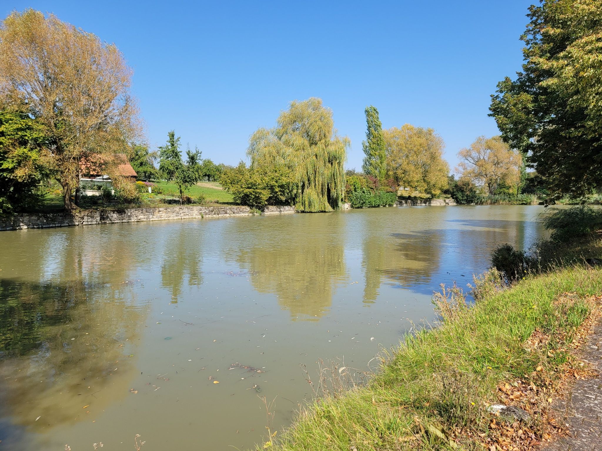 Krensheimer See - in Krensheim