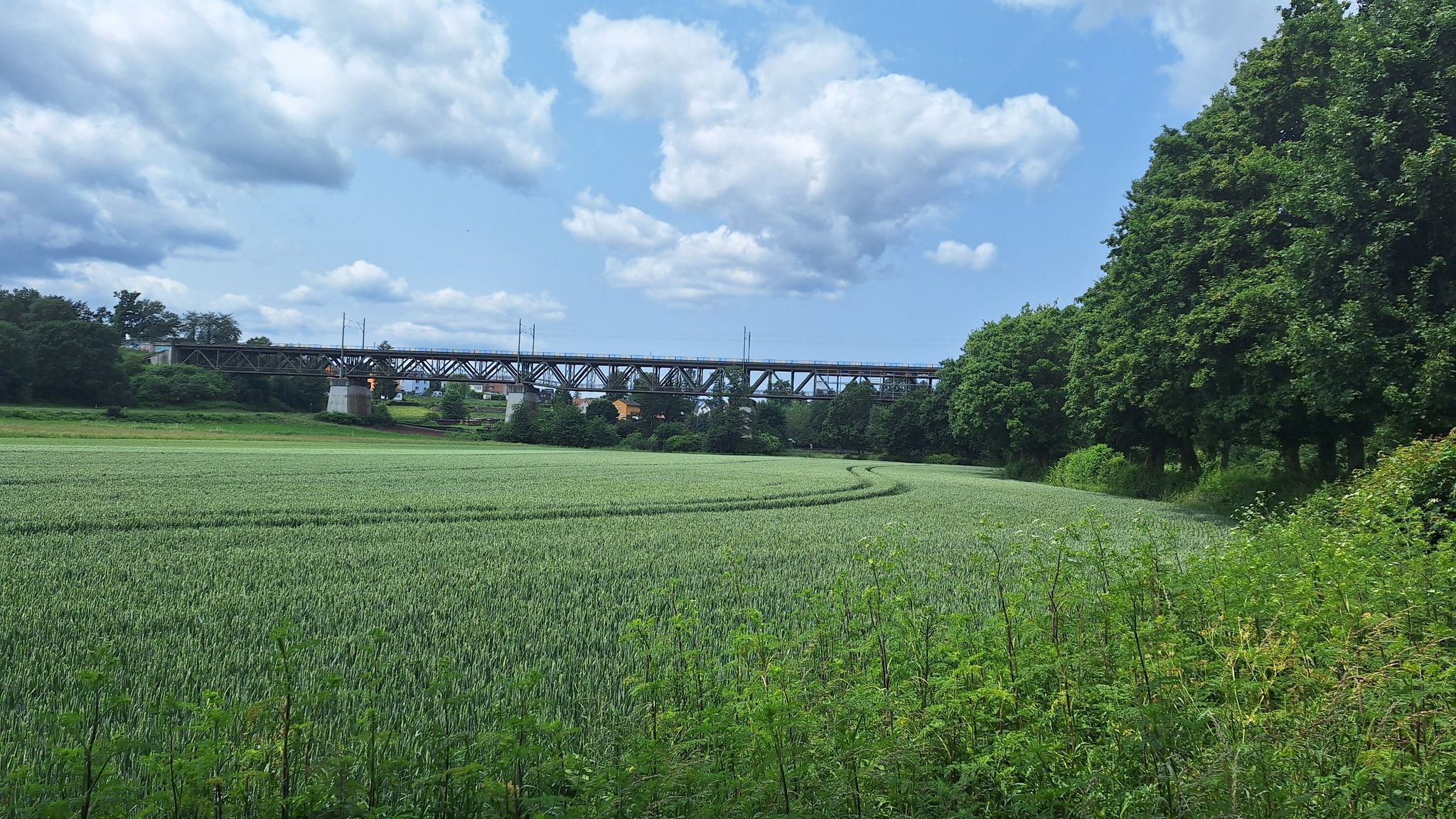 Eisenbahn-Viadukt bei Assenheim