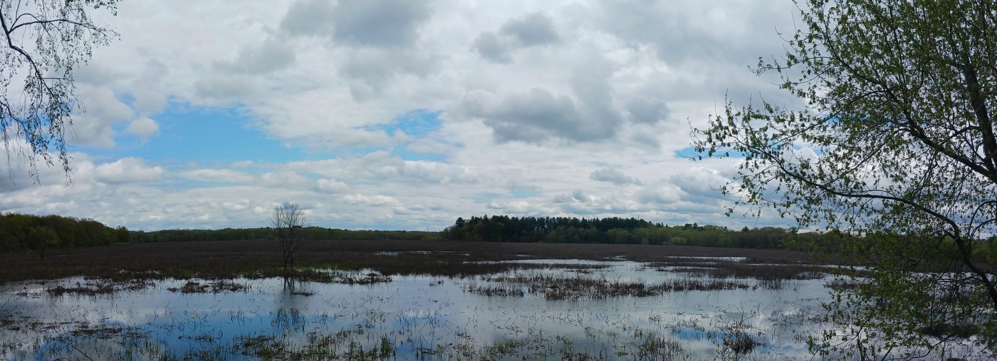 Panoramic view of a wetland with water reflecting a cloudy sky. - Farrar Pond from Wellesley Farms