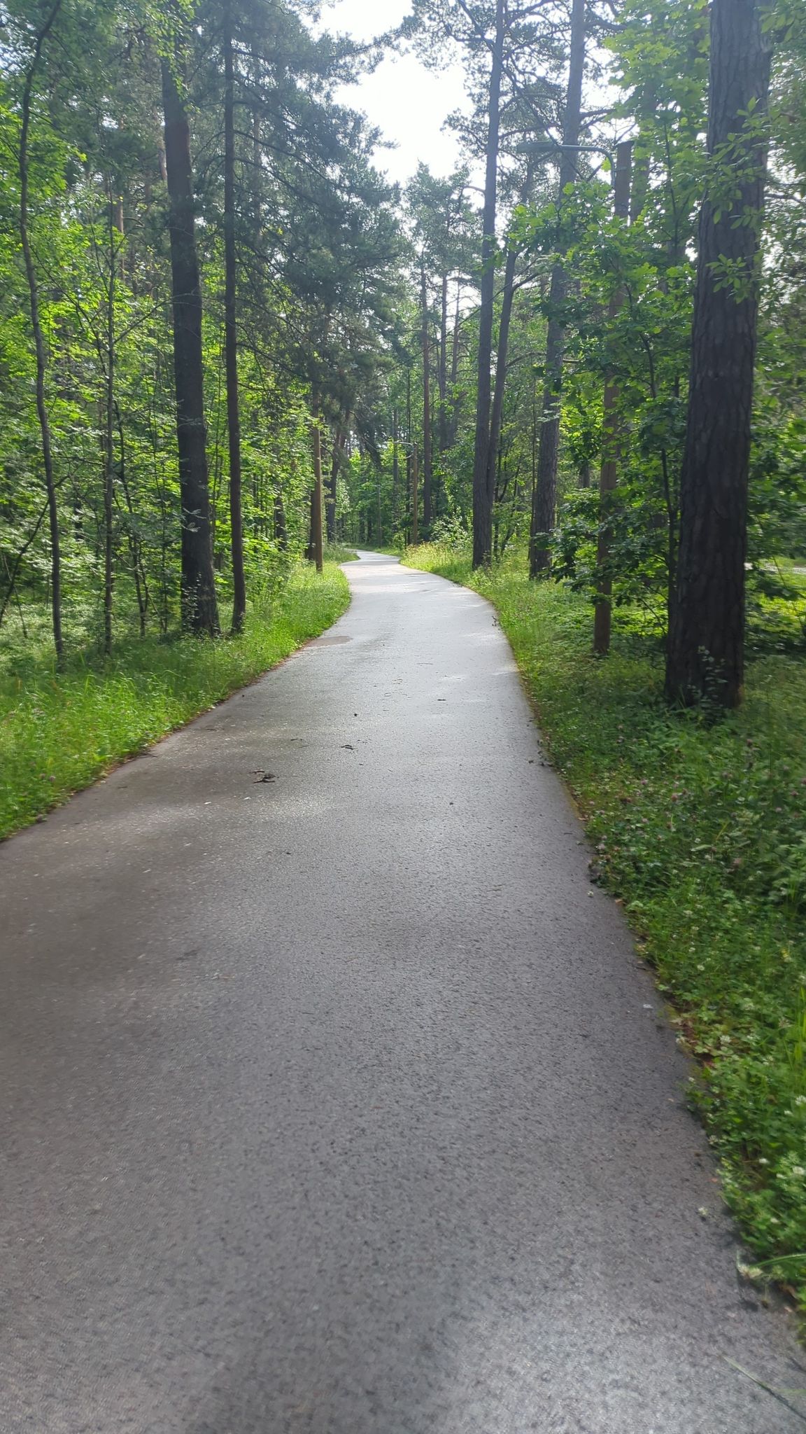 perfectBike road