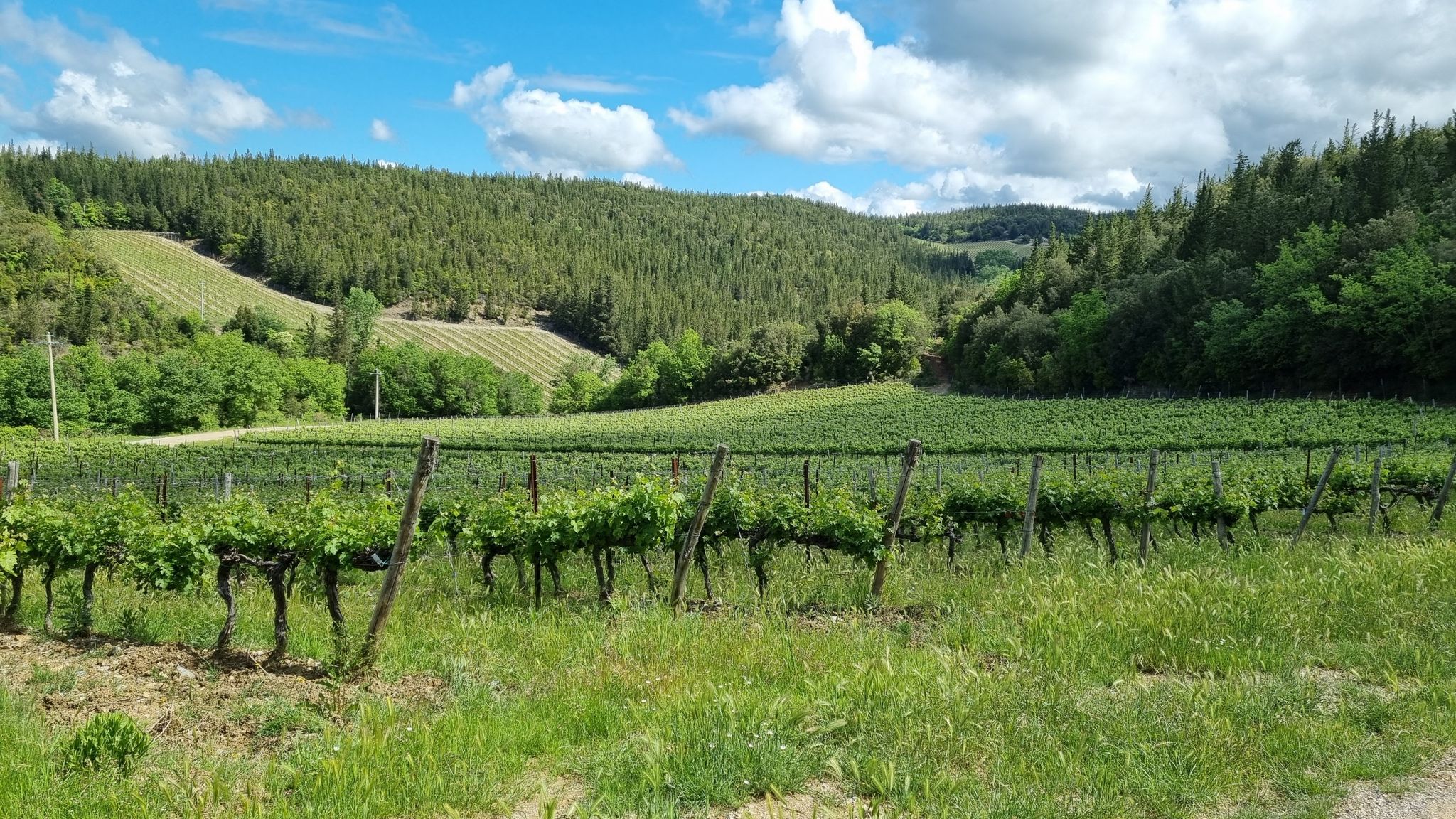 Unterhalb von Graiano