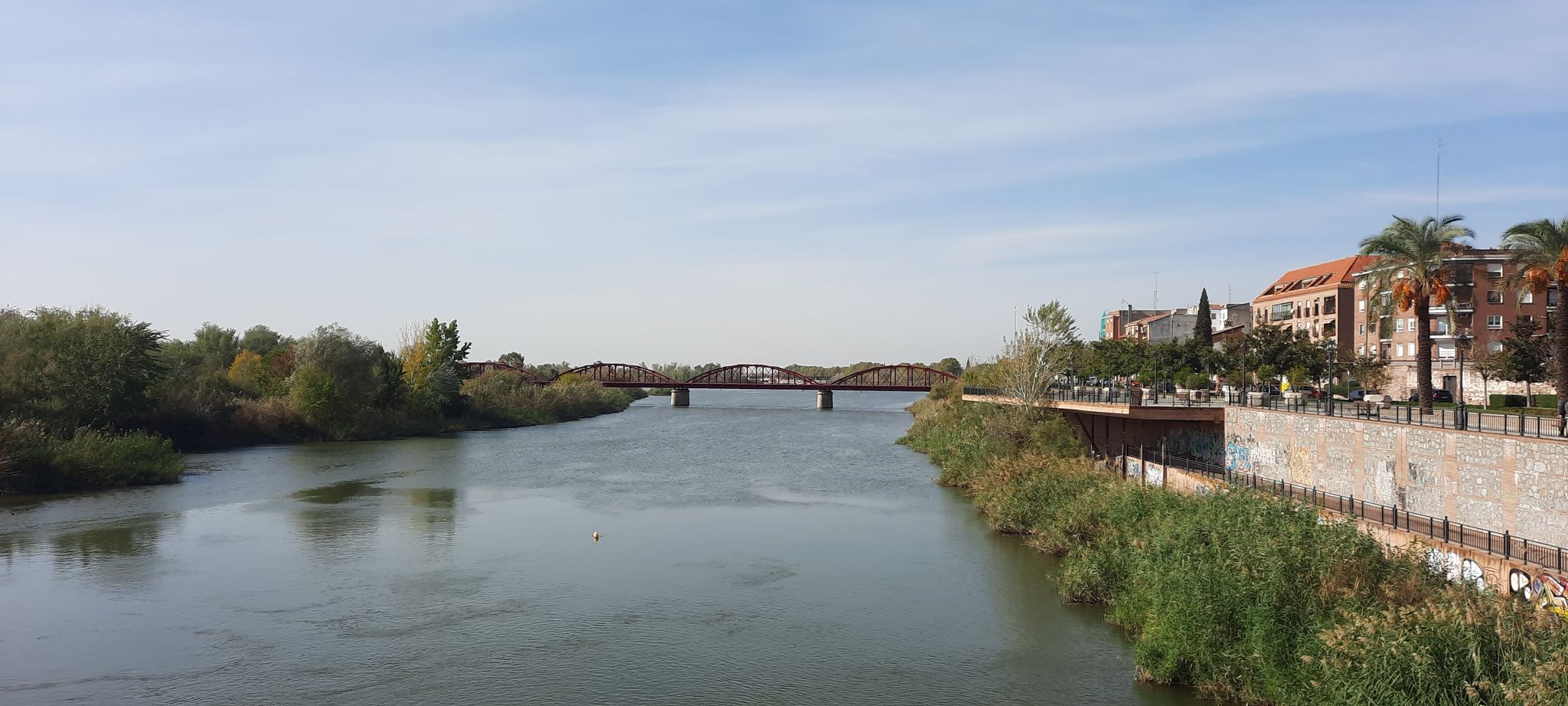 Puente Reina Sofía