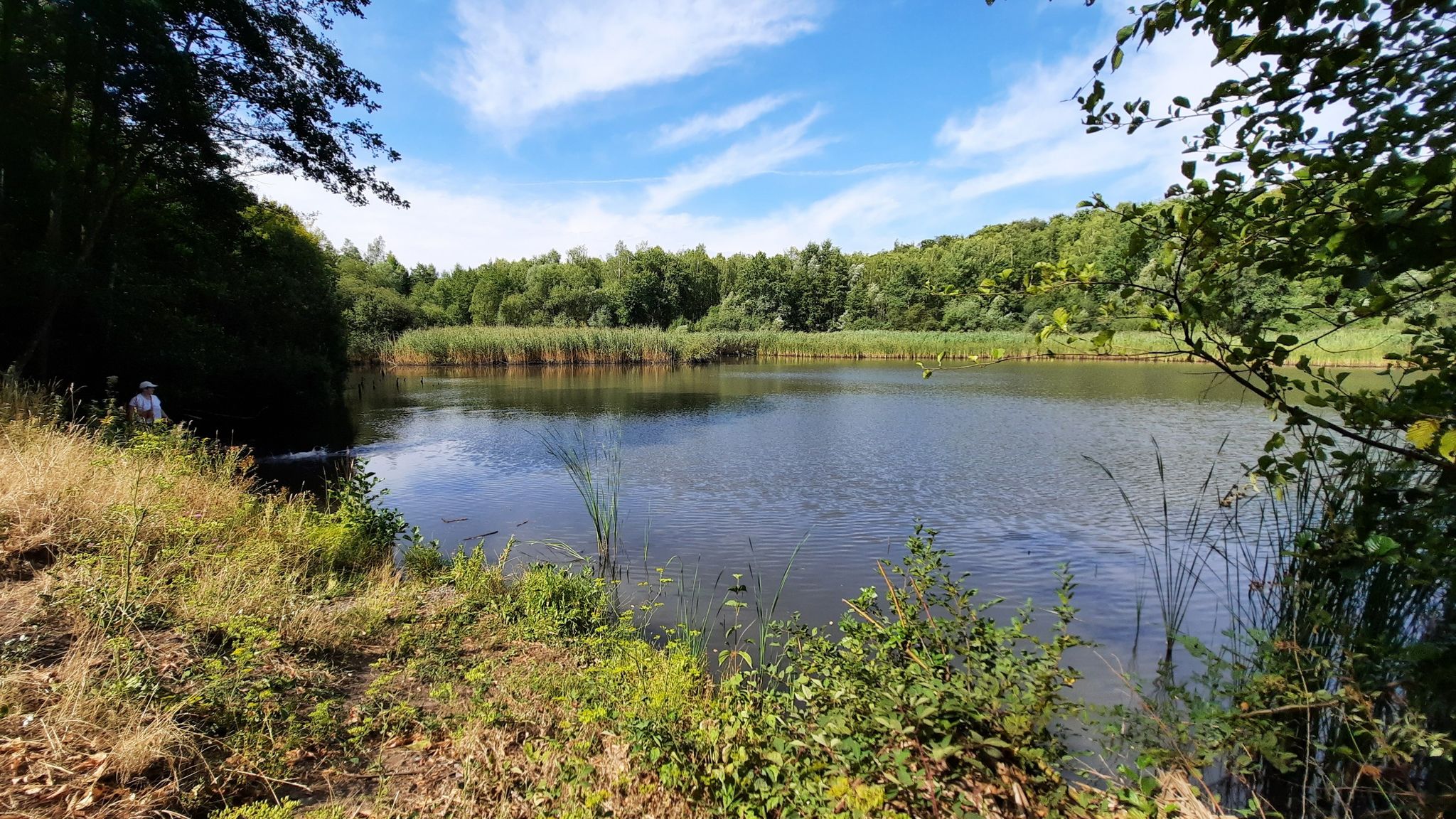 Absinkweiher Fischbachtal