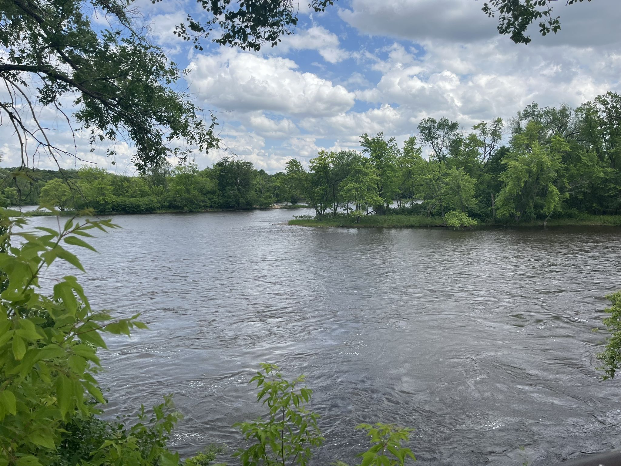 Wide river flows past green trees under a partly cloudy sky. - Beaver Island Trail loop from Saint Augusta