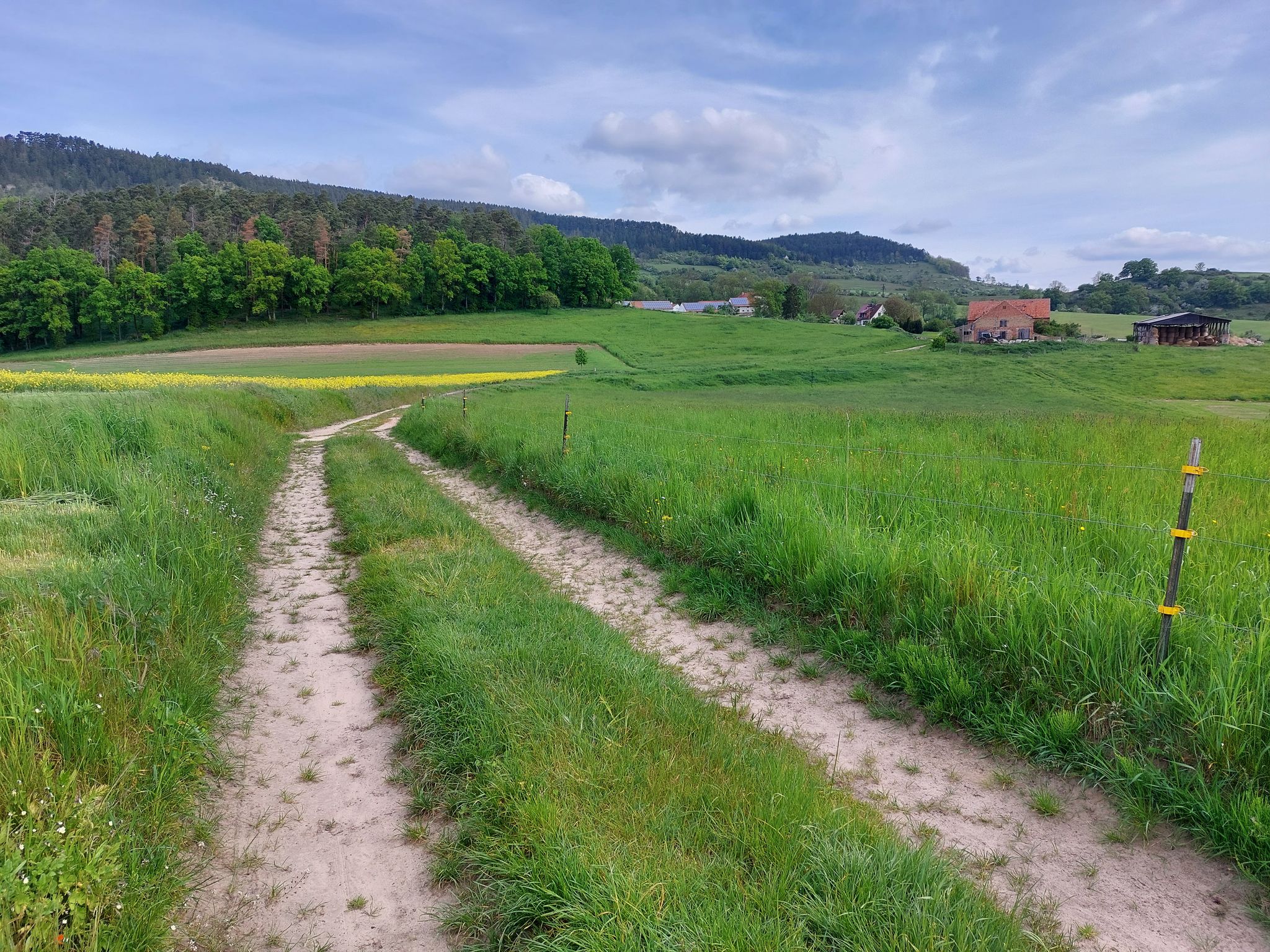 Blick zu Winzerla