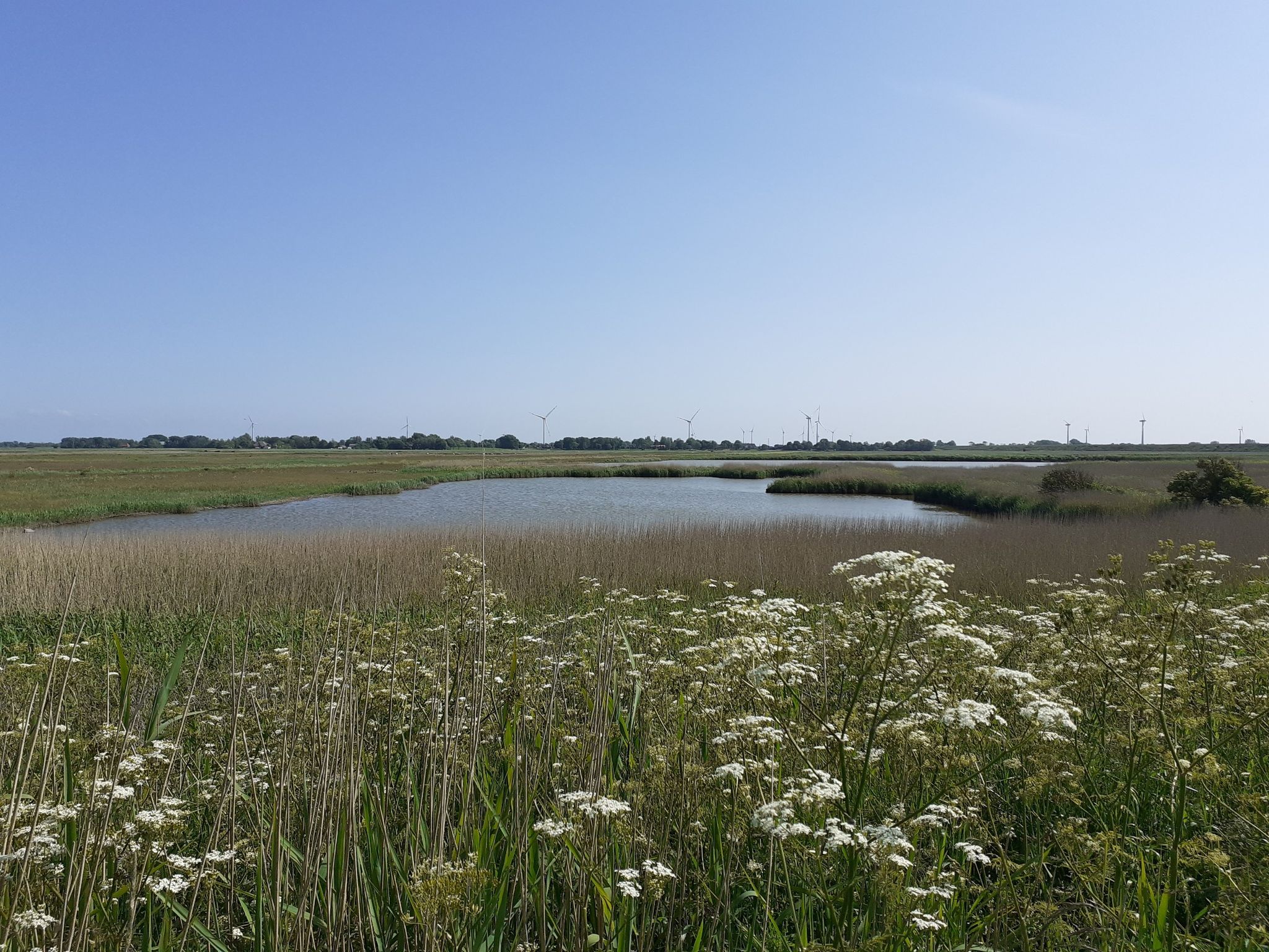Naturschutzgebiet Wester -Späting