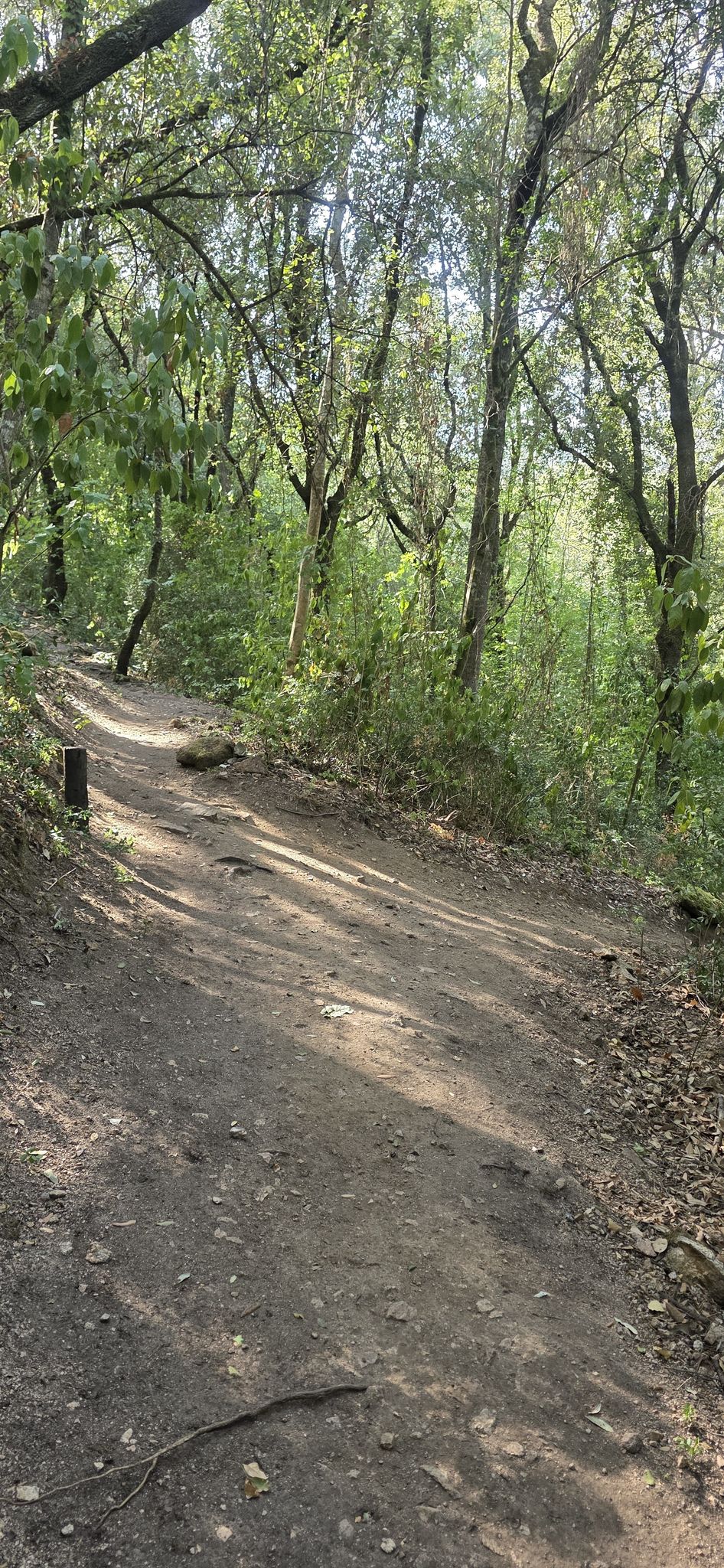 ici intersection de la boucle. Allez à droite 
