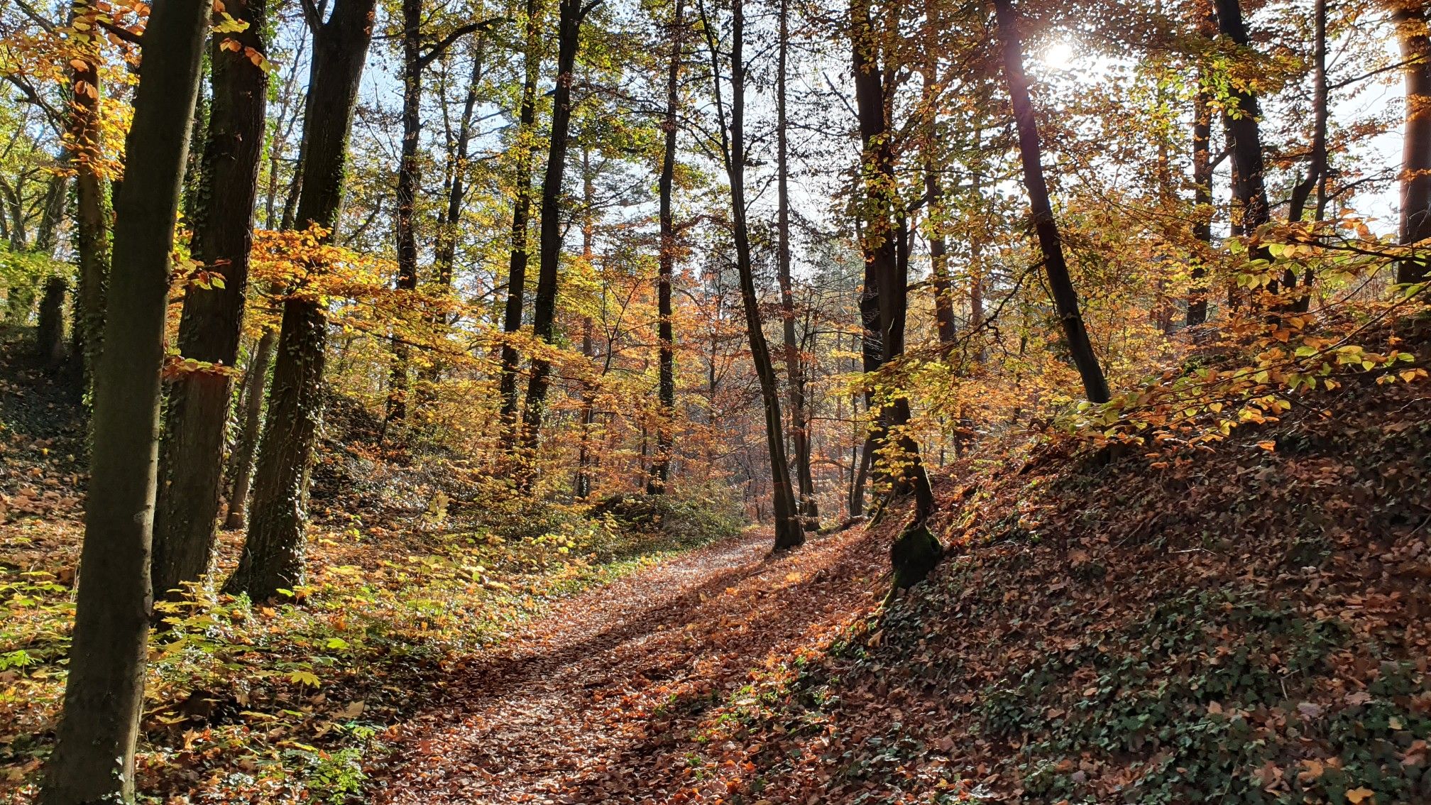 Velpker Schweiz