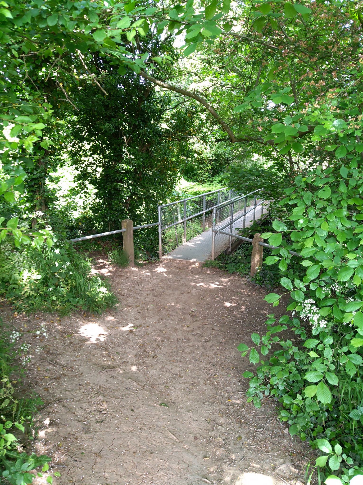 Bridge over stream