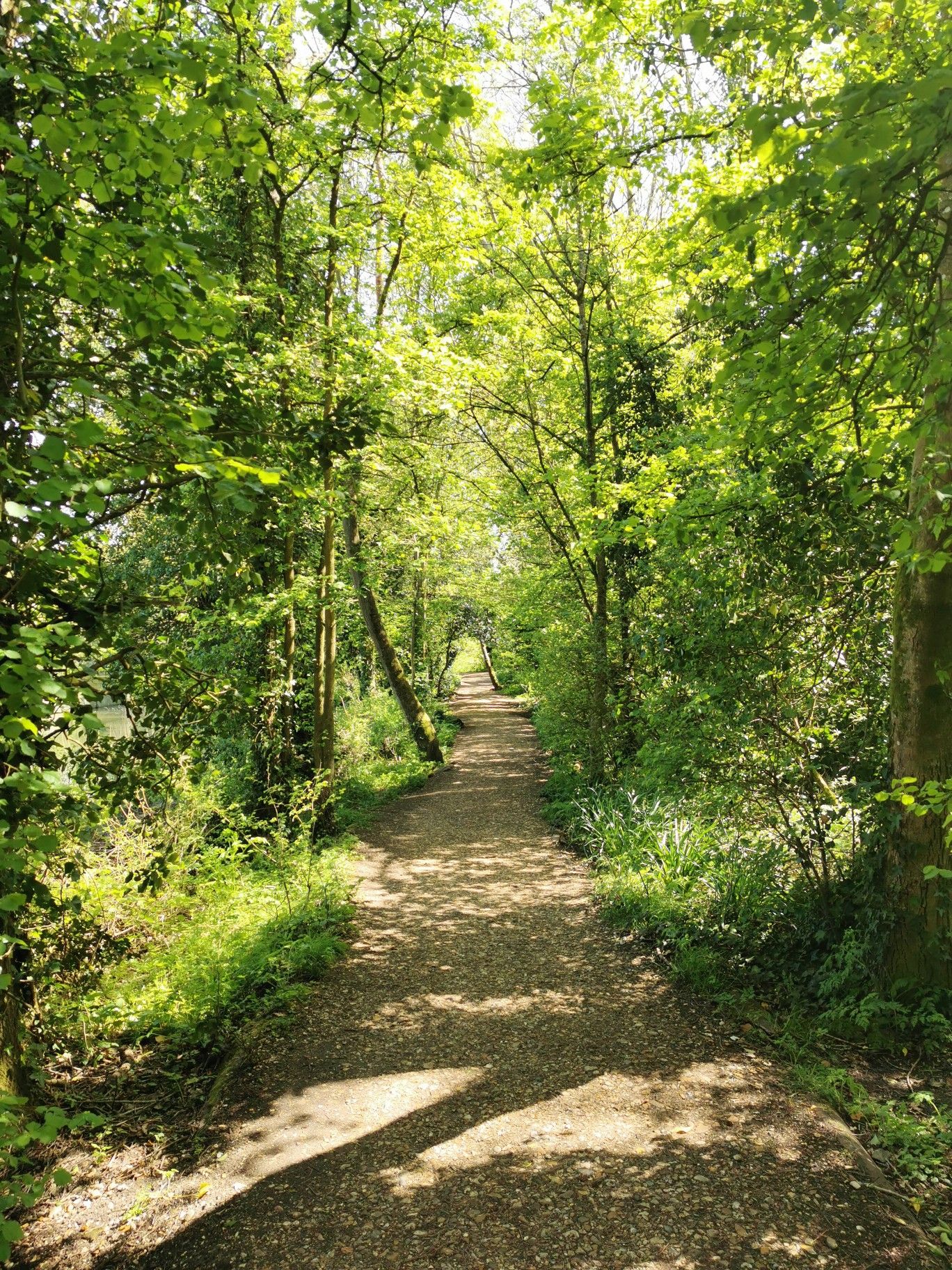 Green path 