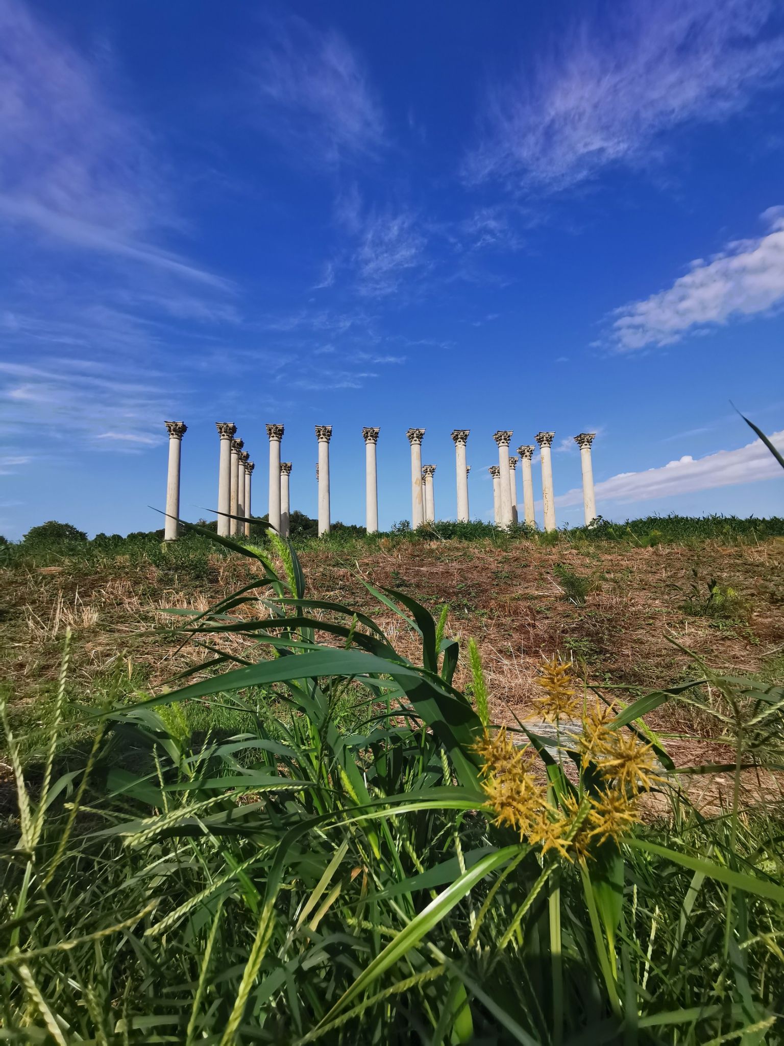 Tall stone columns on a hill under a vibrant blue sky, with foreground plants. - National Arboretum: East Side