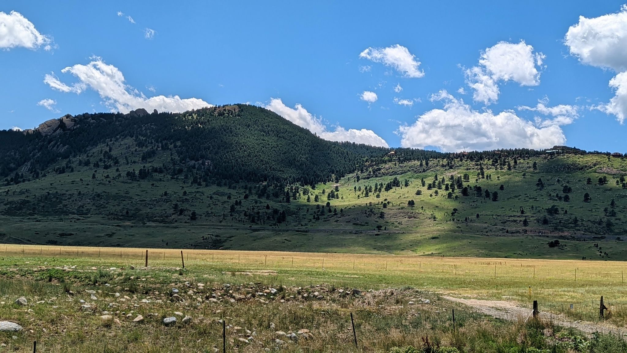 Sunny green fields with forested hills and distant mountains under a cloudy sky. - Colorado Tap House loop from Wheat Ridge / Ward Road