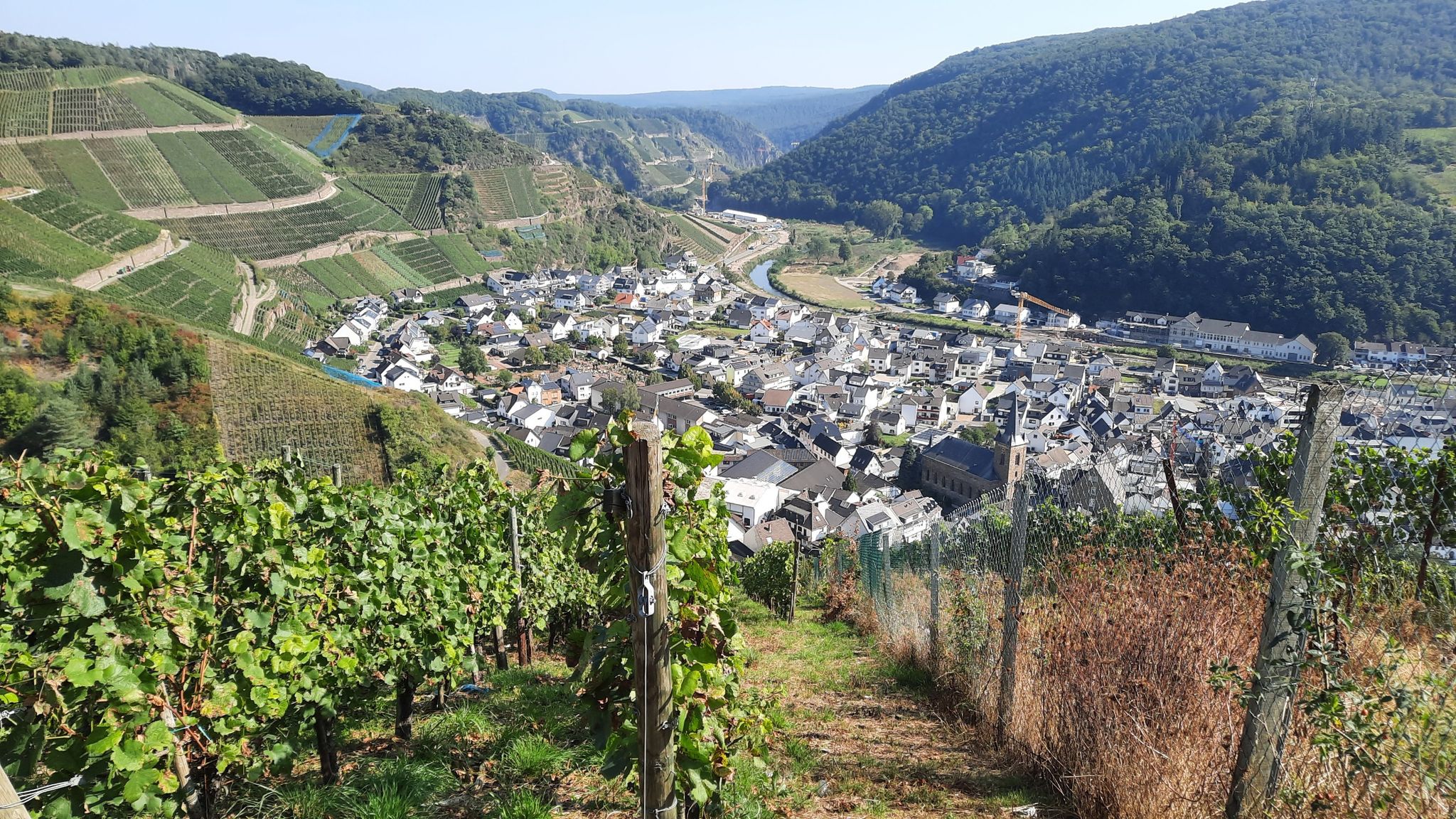 Demnach an der Ahr