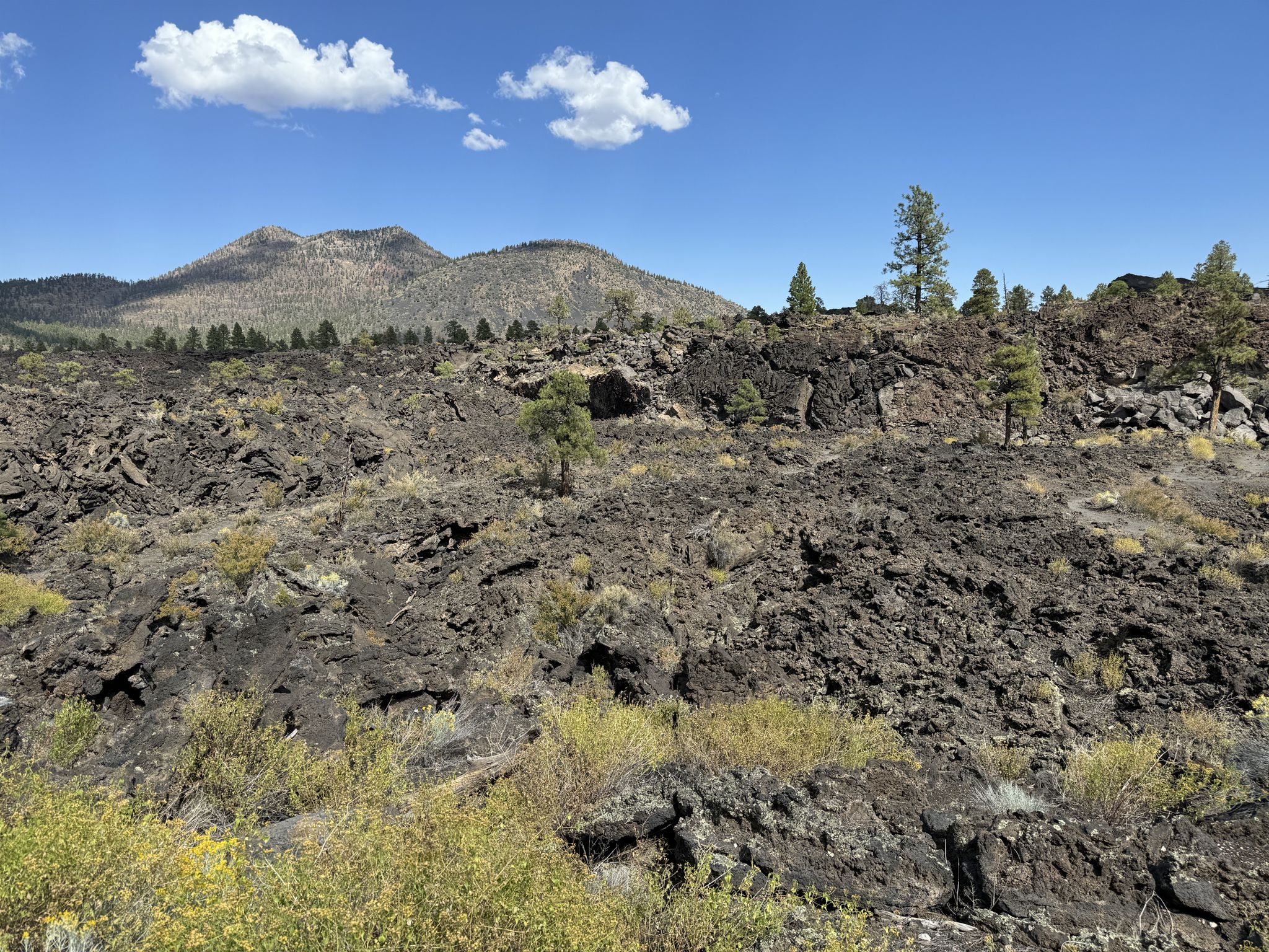 Expansive field of dark, jagged volcanic rock with sparse vegetation and distant mountains. - Sunset Crater to Nalakihu Pueblo