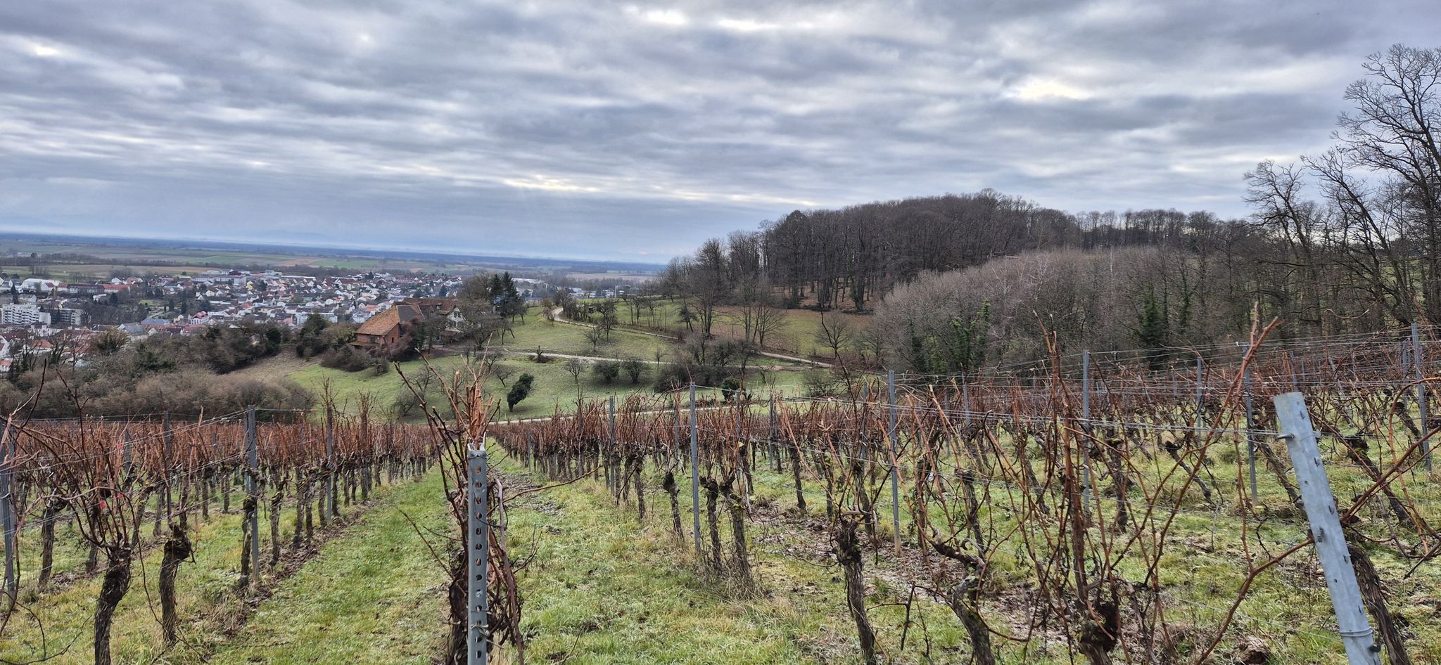 Weite Blicke über Bad Bergzabern
