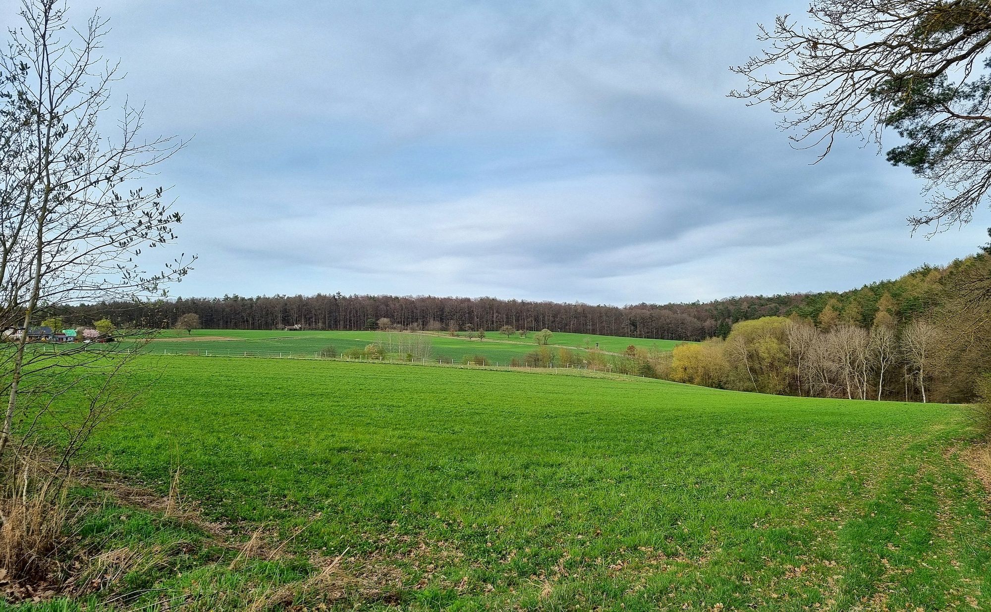 Steigerwaldblick bei Schindelsee