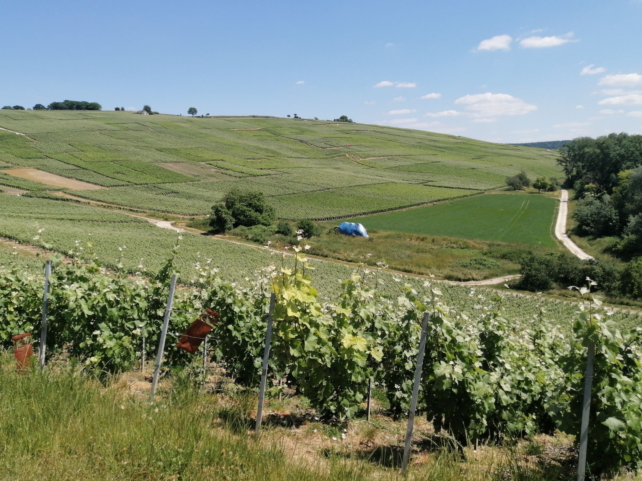 La neuville aux larris 