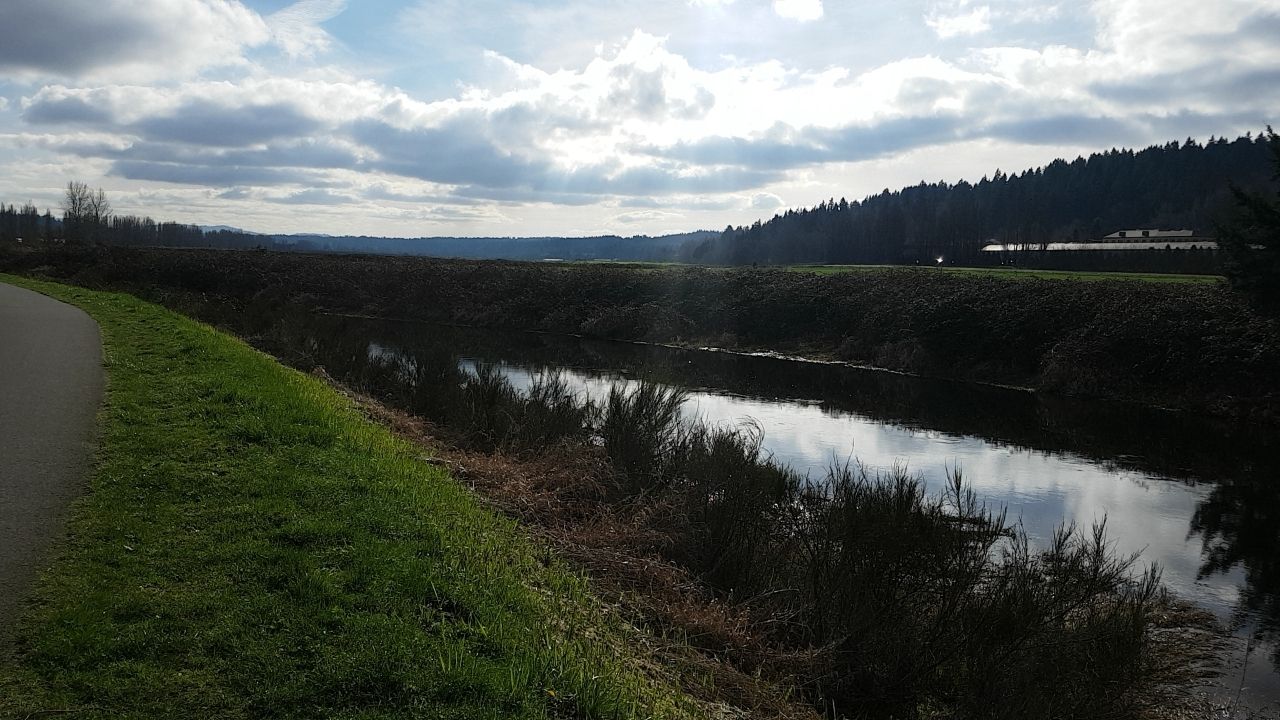 A calm river reflects a cloudy sky, flanked by grassy banks and distant trees. - Wilmot Gateway Park – Sammamish River Trail loop from Woodinville