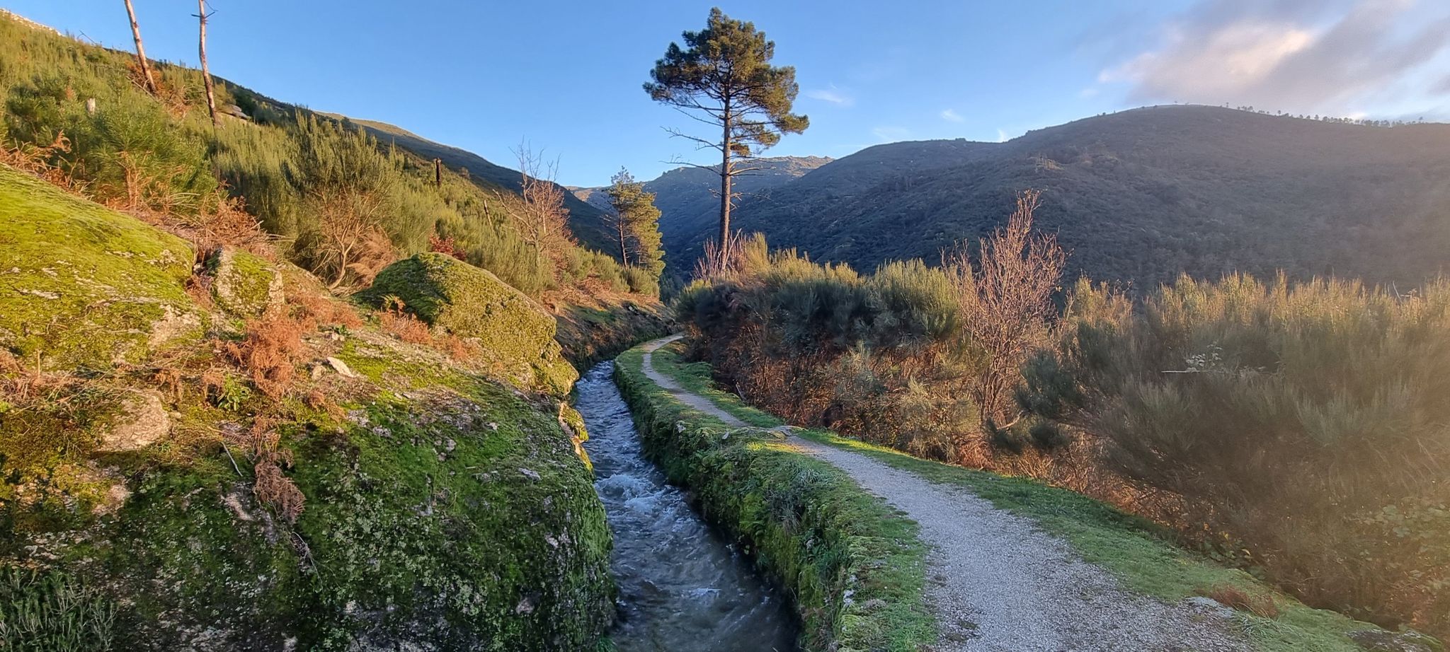 Tour of Caniça (PR 10) — Serra da Estrela | hike | Komoot