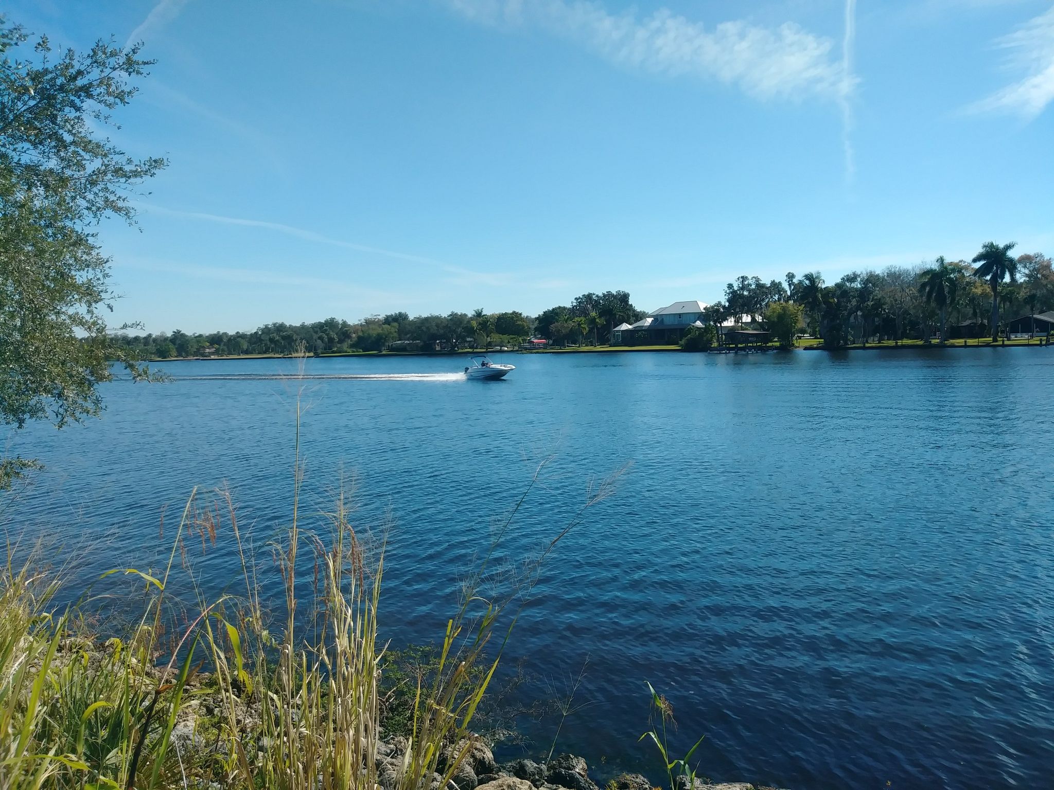 A boat speeds across a wide river under a clear blue sky. - Caloosahatchee Regional Park loop