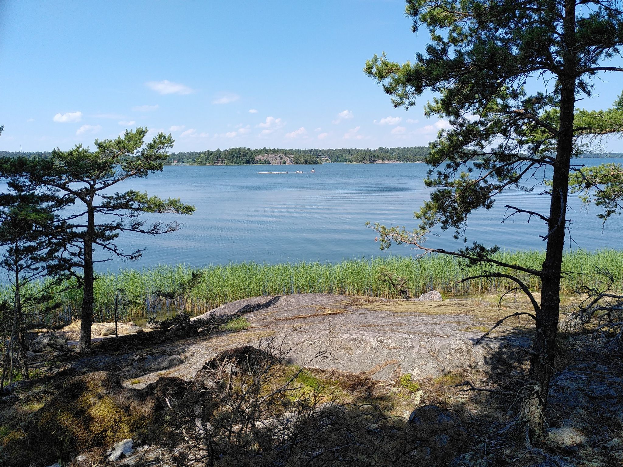 View from the rock