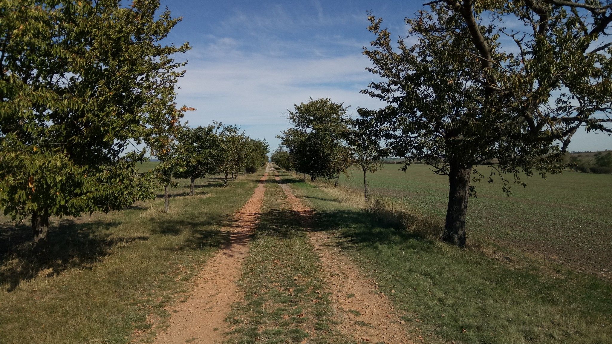 Obstwege noch Osten