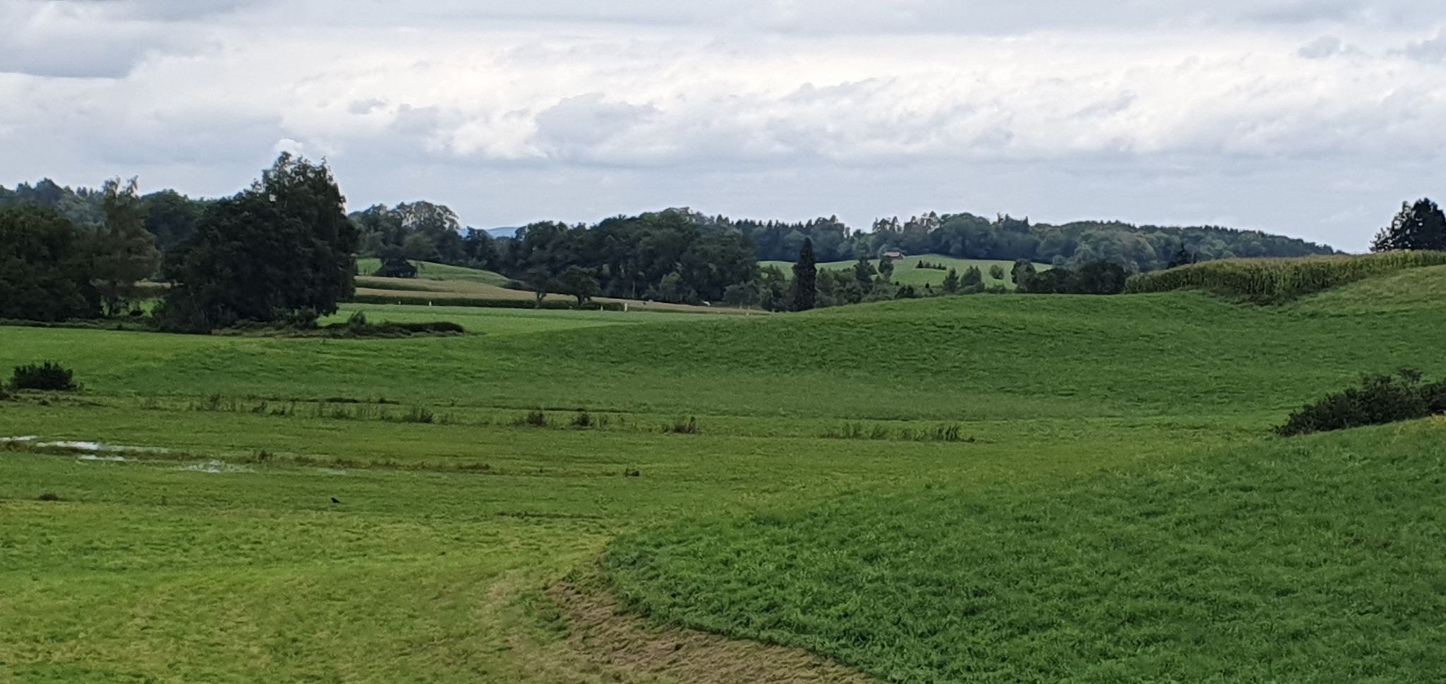 viel schöne Landschaft um Ankenreute