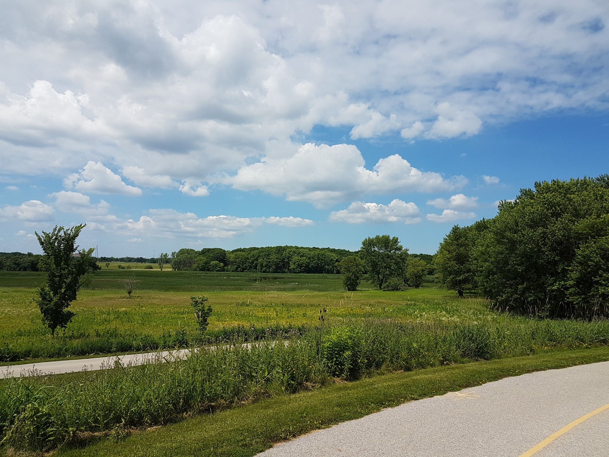 Paved path next to a vast green field and distant trees under clouds. - Black Paved Trail
