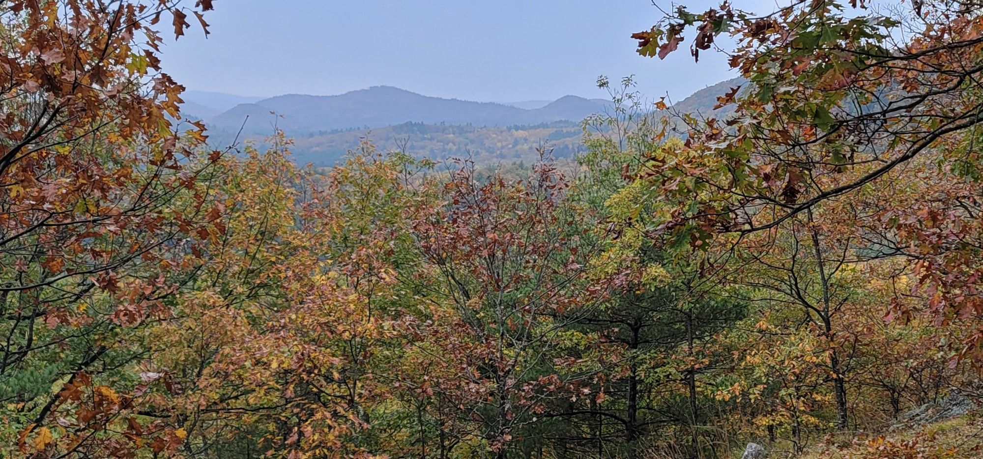 Colorful autumn foliage frames a hazy valley and distant mountains. - Burnt Meadow Mountain Trail Loop