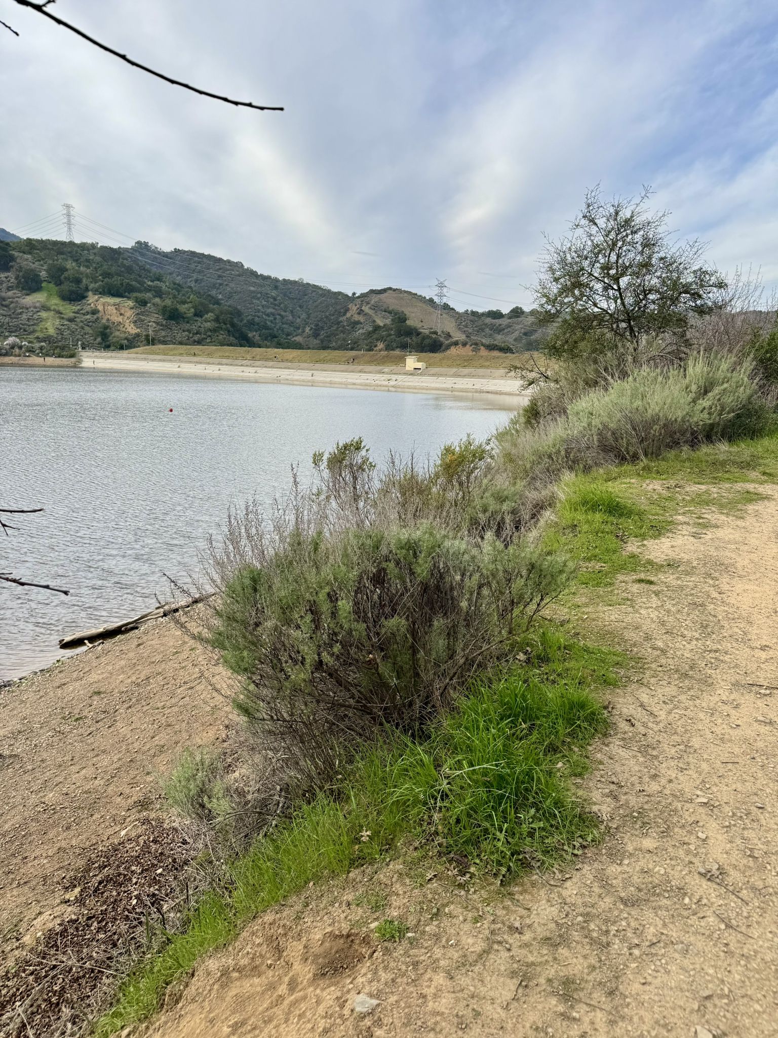 Bright, partly cloudy view of a lake shore with a dirt path and bushes. - Stevens Creek Reservoir – Stevens Creek Dam loop from Monta Vista High School