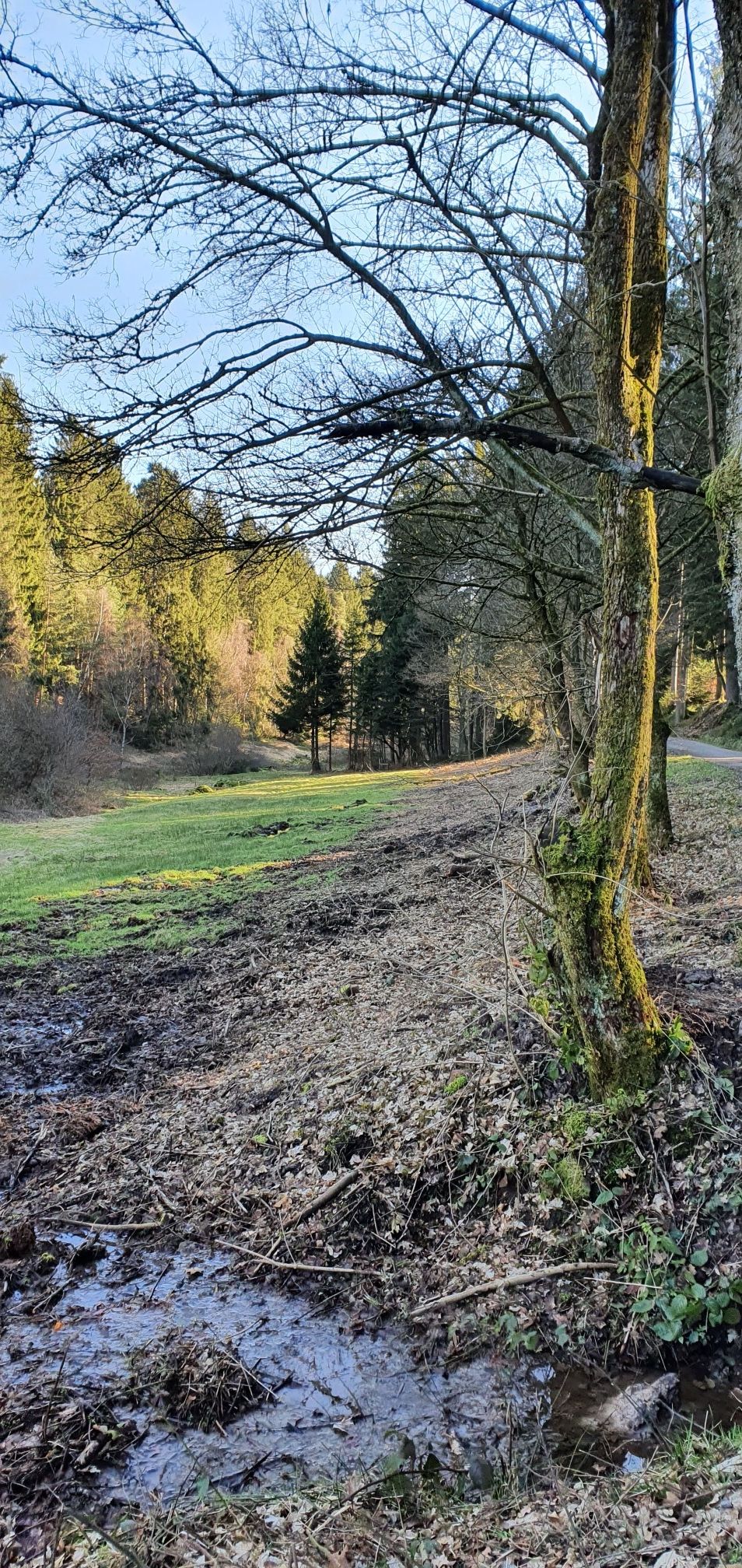 Gassbachtal