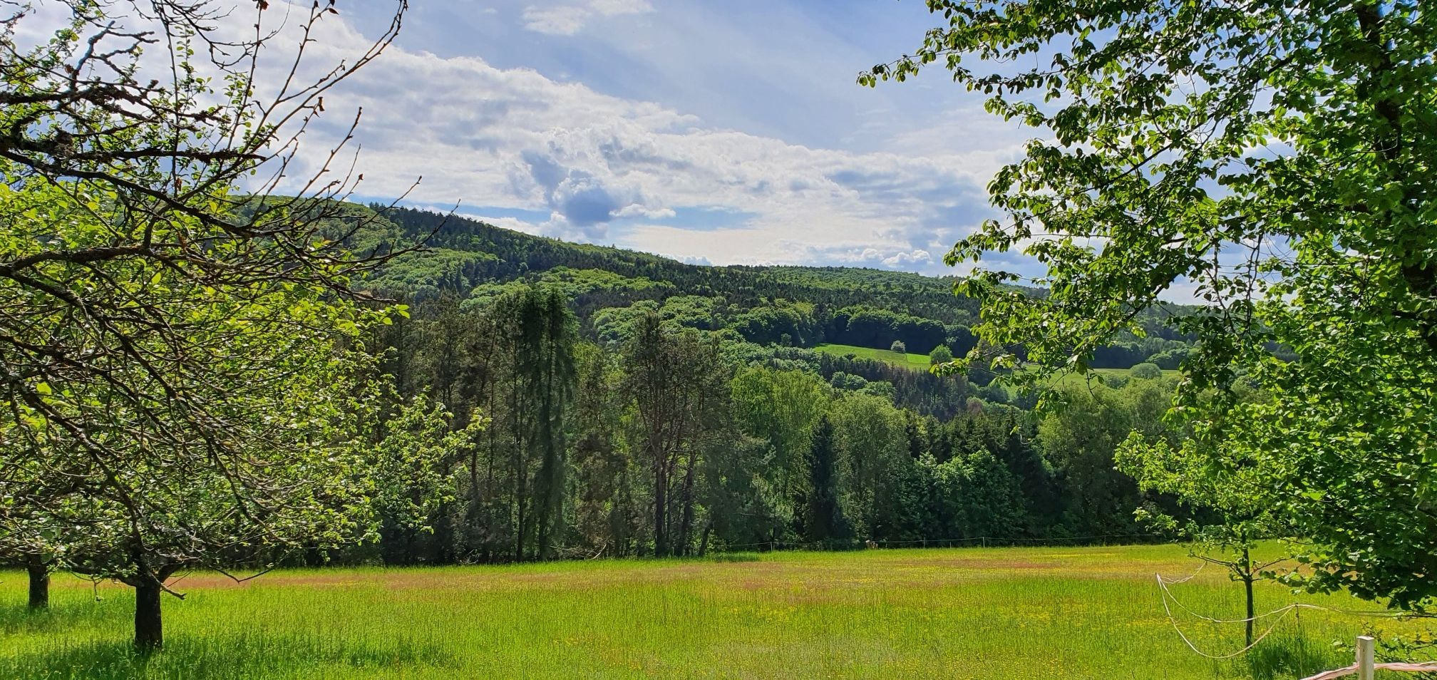 Lange Teerstrecke ins Dorf mit Aussicht