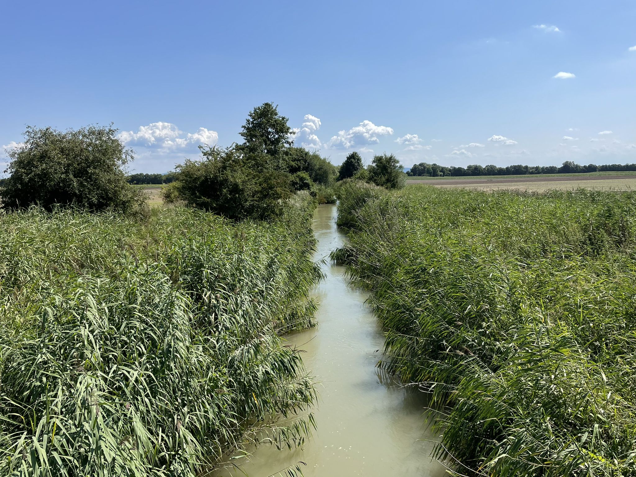 Der Russbach