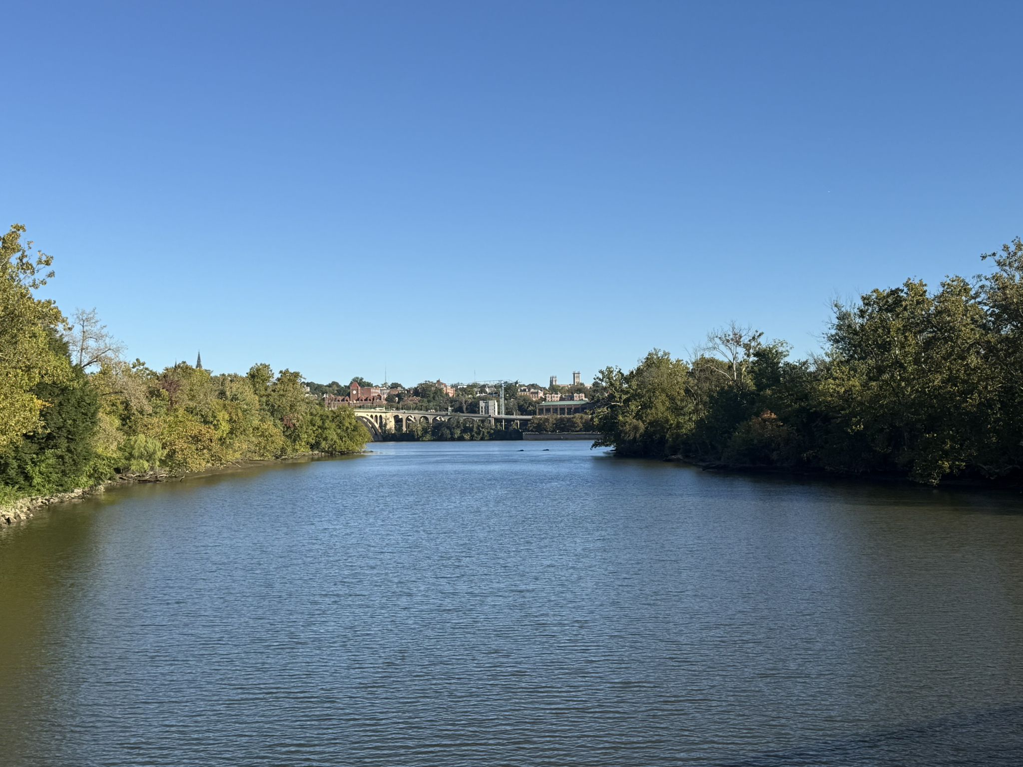 Wide river framed by green trees, with a distant bridge under clear sky. - Theodore Roosevelt Island – Theodore Roosevelt Memorial loop from Arlington