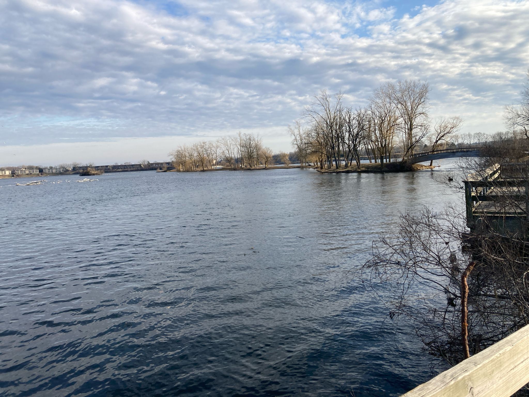 Wide lake with bare trees on islands and a distant bridge under a cloudy sky. - Parker Mill County Park – Ford Lake Wetlands Boardwalk loop from Ypsilanti