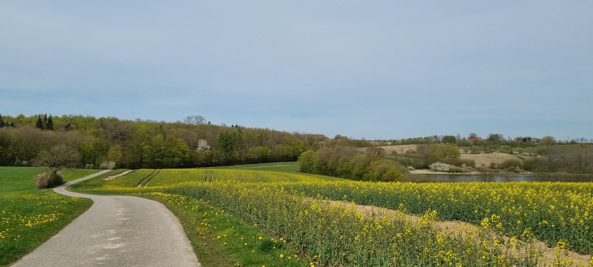Hohenhorst Süd