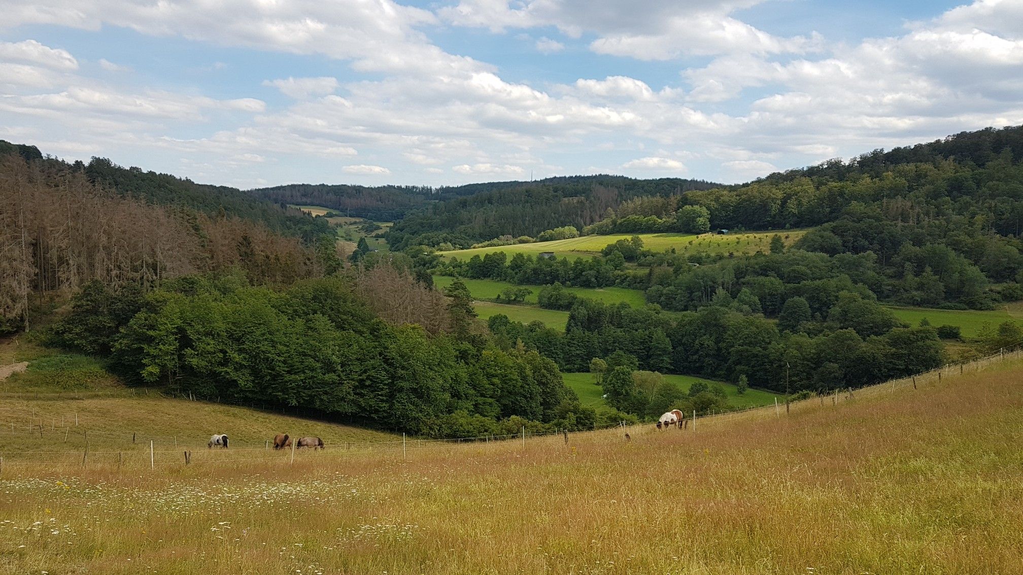 Ausblick #1