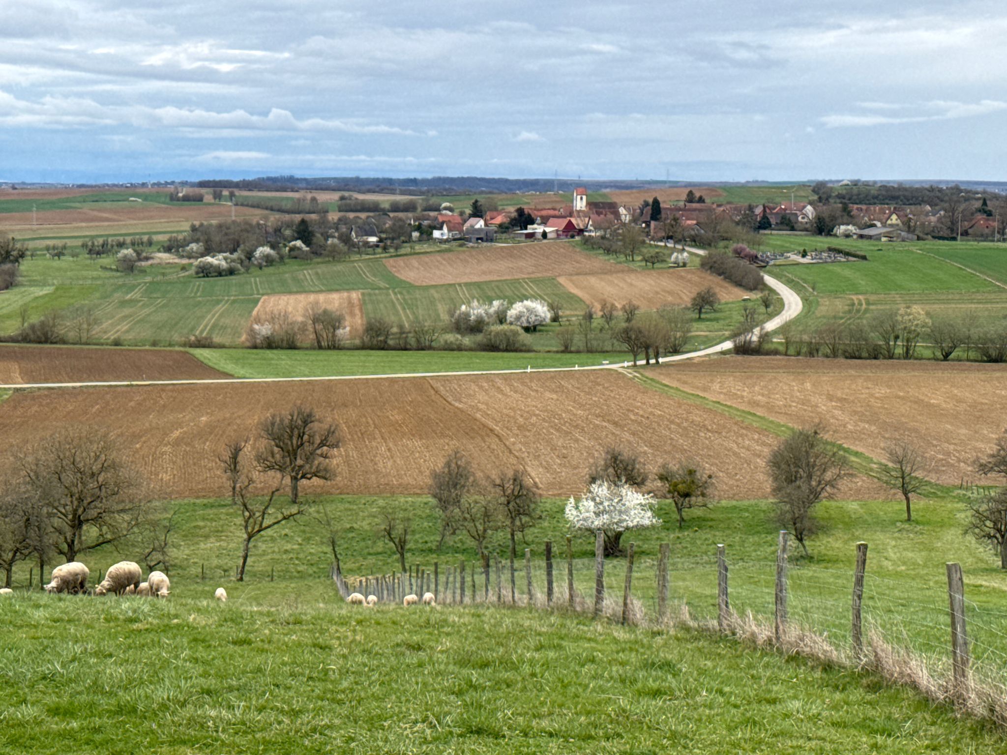 Die hügelige Landschaft ist einfach zauberhaft