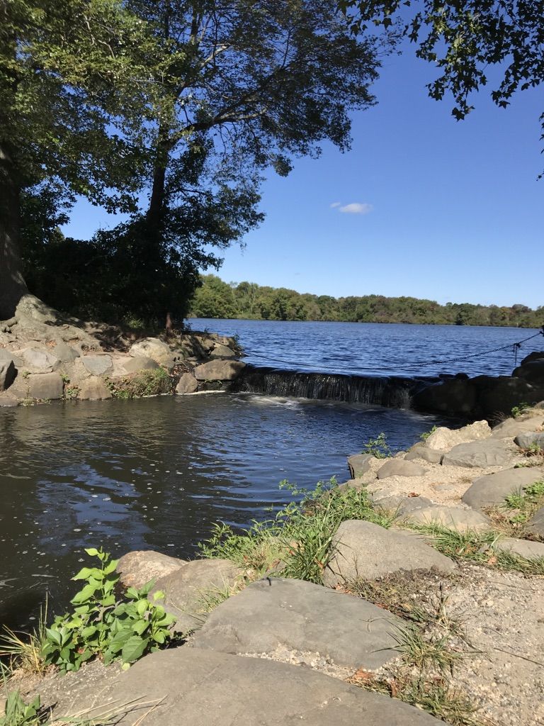 Sunny view of a lake with a small waterfall and surrounding green trees. - Home Trail