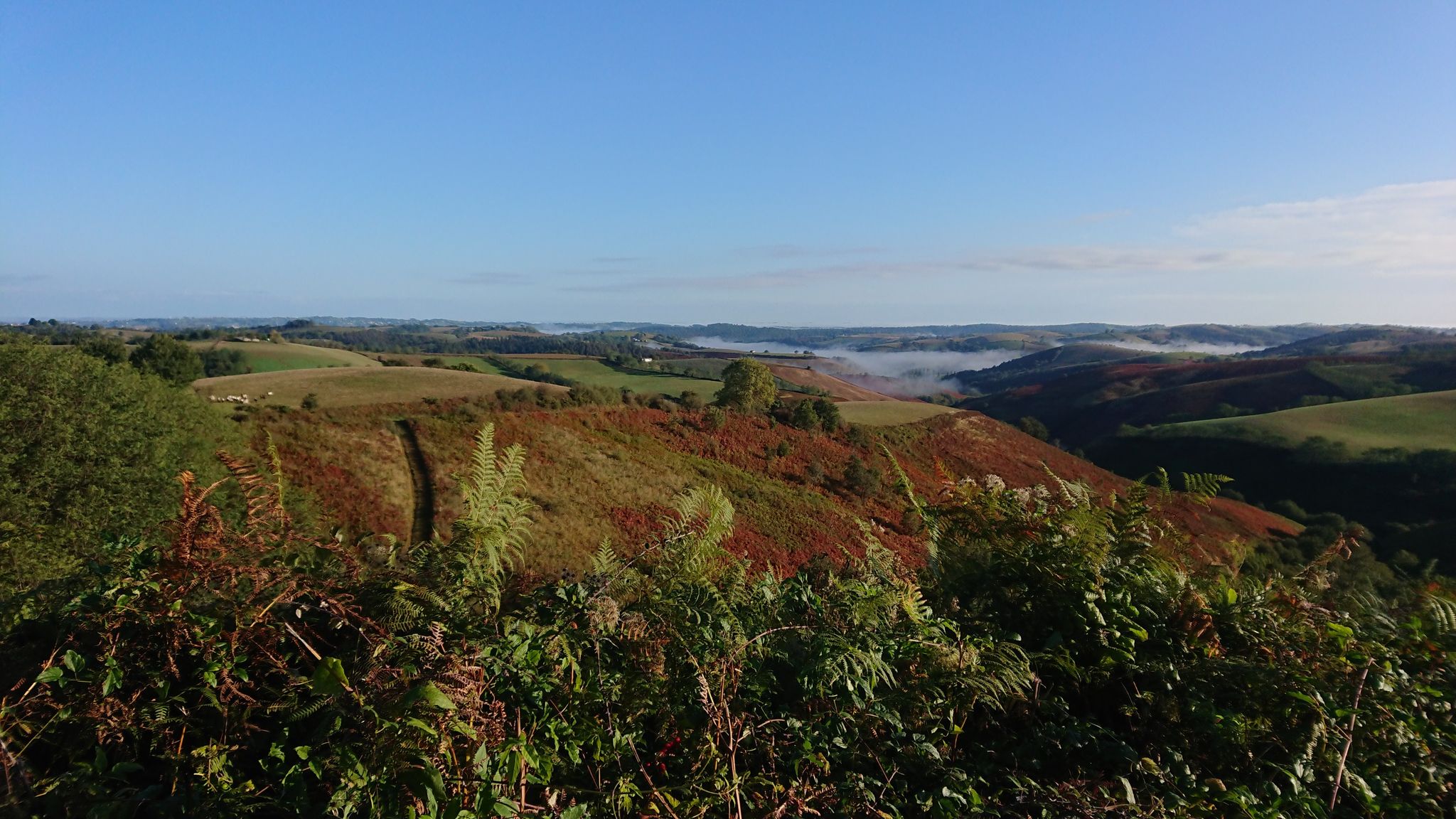Landes d'isturitz