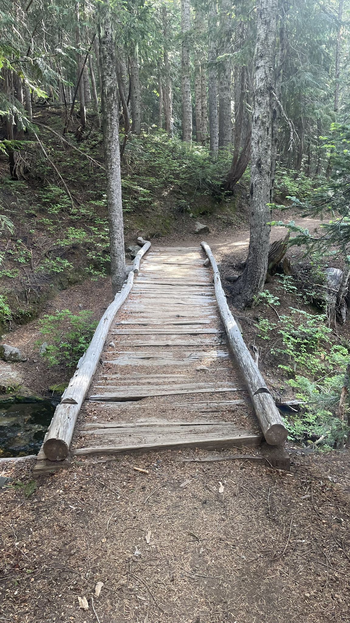 A rustic wooden footbridge spans a small stream in a dense, shaded forest. - Summerland Trail