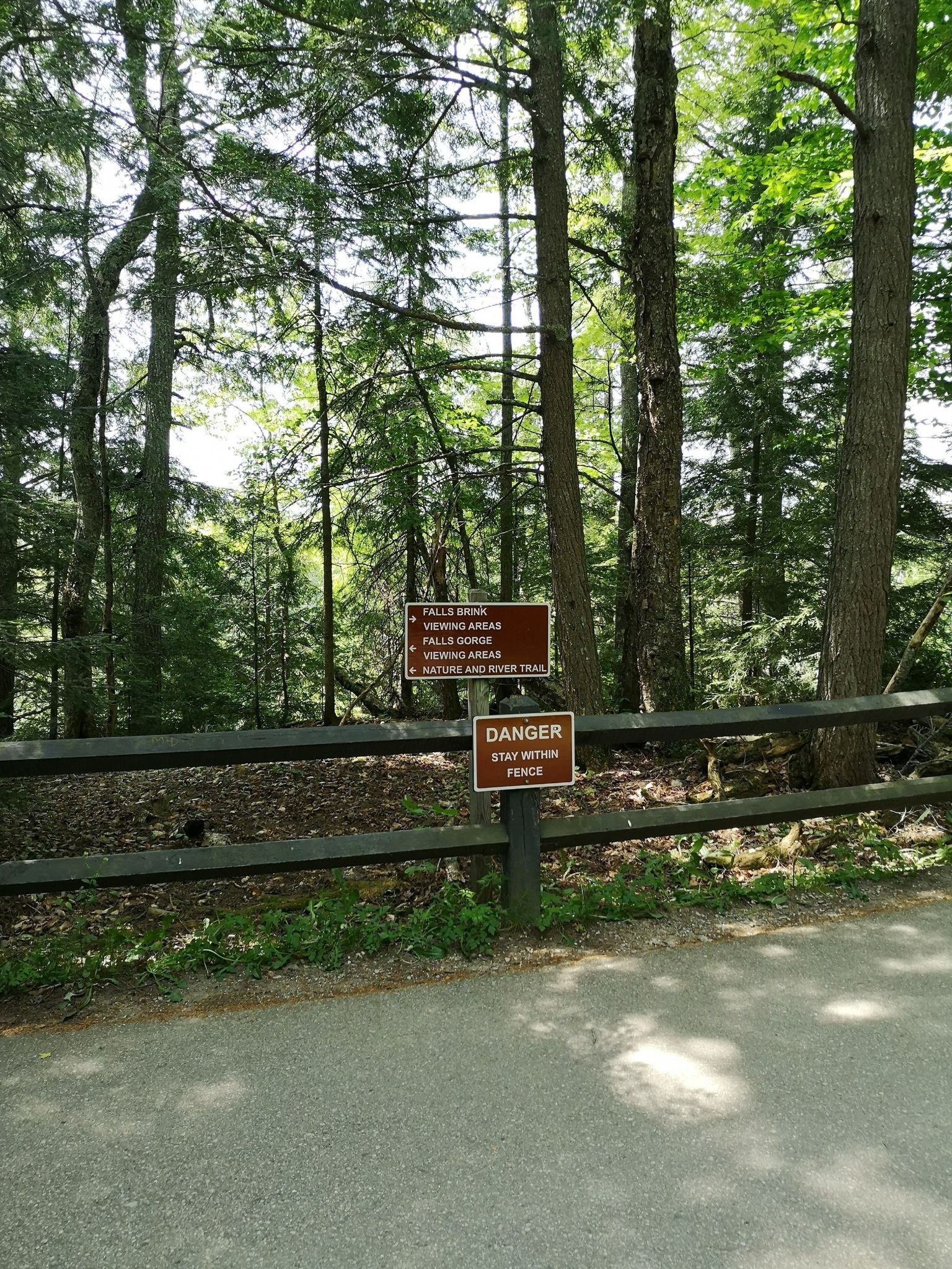 A wooden fence and two brown signs stand on a paved path in a dense forest. - Tahquamenon Falls Upper Falls Loop