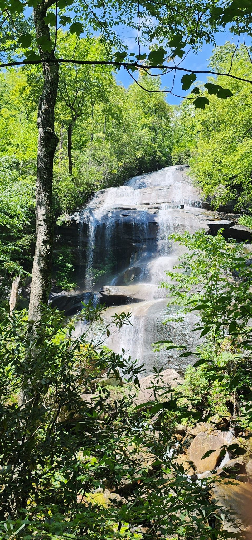 Bright waterfall cascading over rocks, surrounded by lush green forest in daylight. - Cove Creek Falls loop from Pisgah National Forest