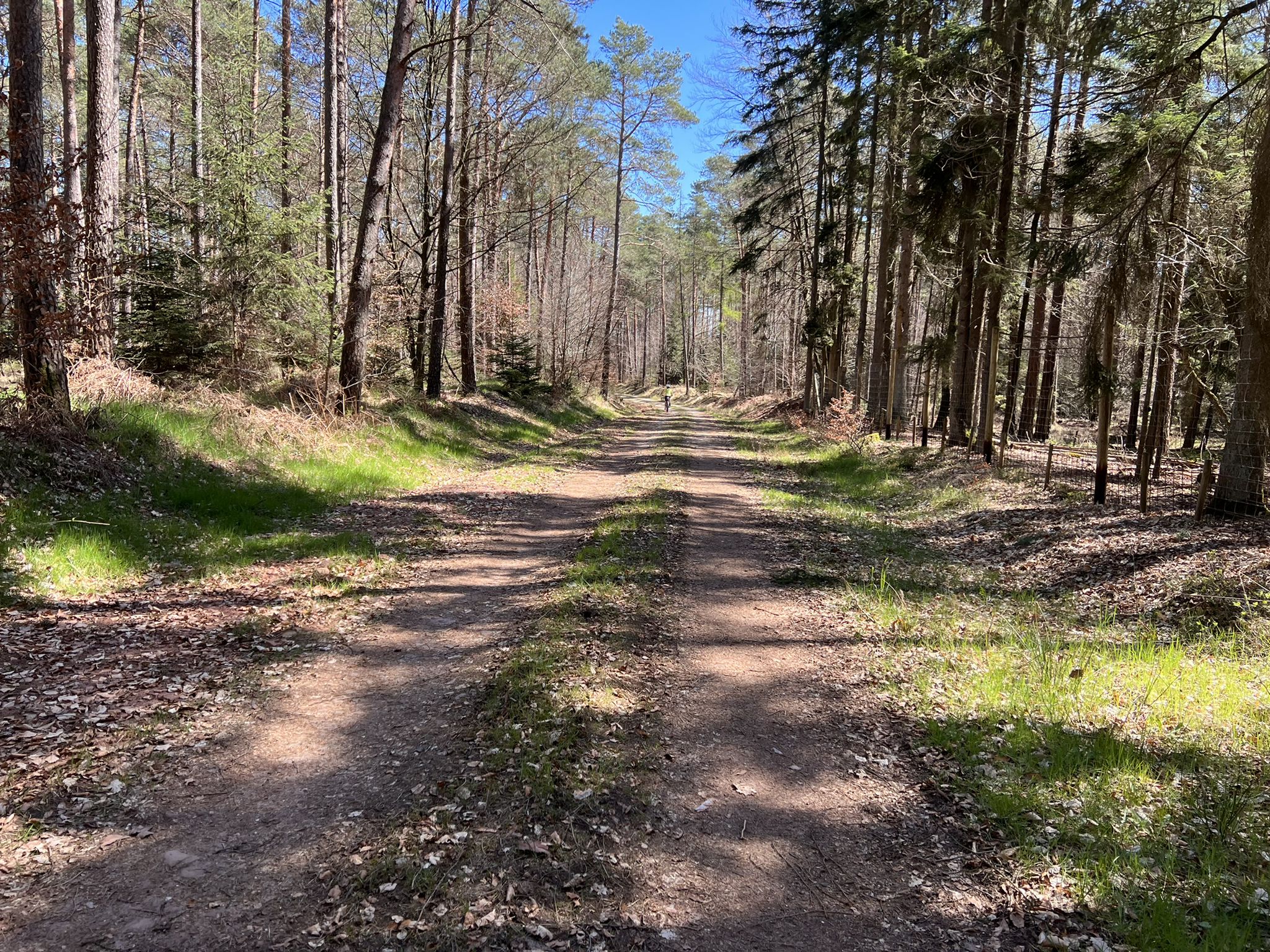 Wald-Passage zwischen Herford und Niersbach