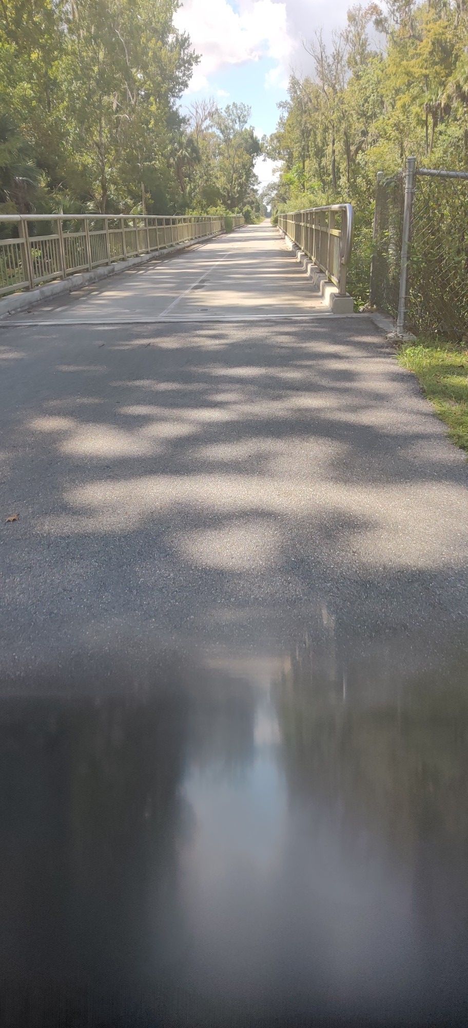 Sunny paved path with wooden railings, surrounded by green trees. - New Smyrna Beach to Lake Beresford via East Coast Greenway loop