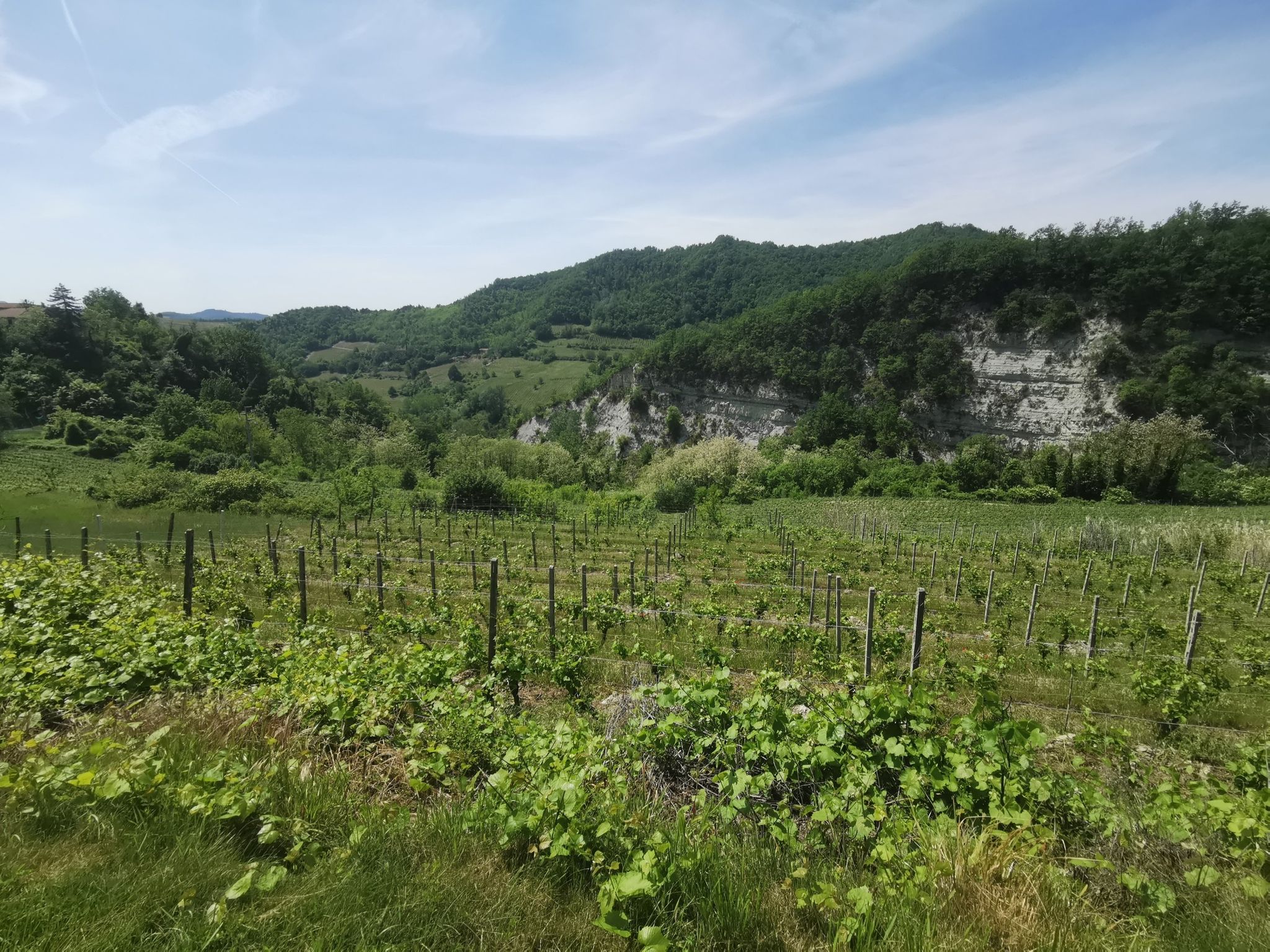 Calanchi a Aessame