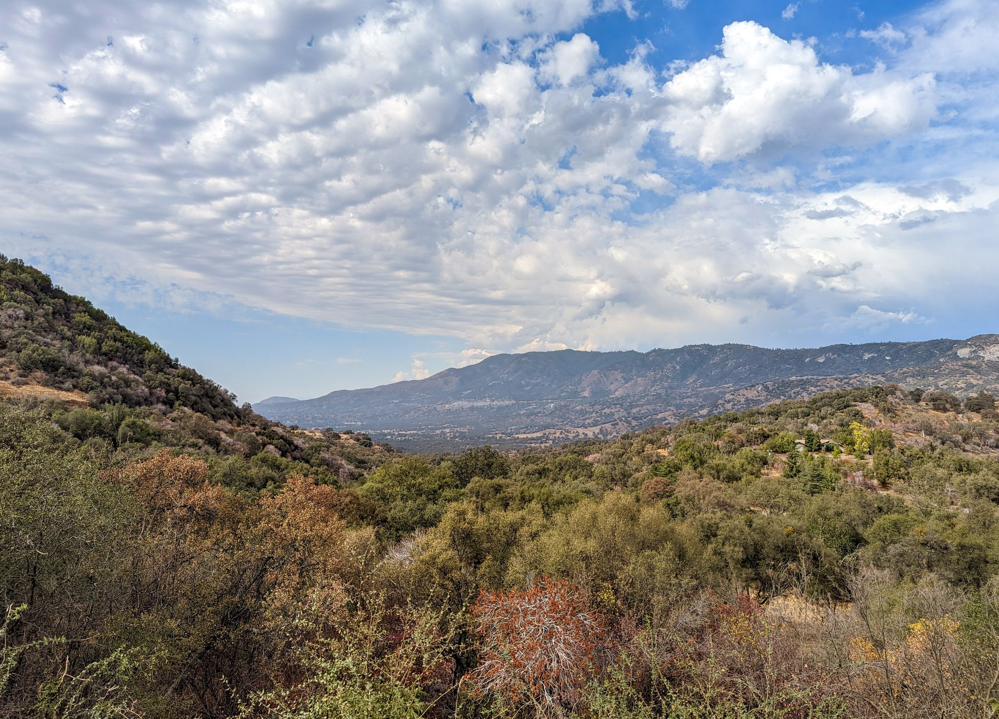 Rolling hills covered in diverse foliage under a partly cloudy sky with distant mountains. - Dunlap Road & East Kings Canyon Road loop